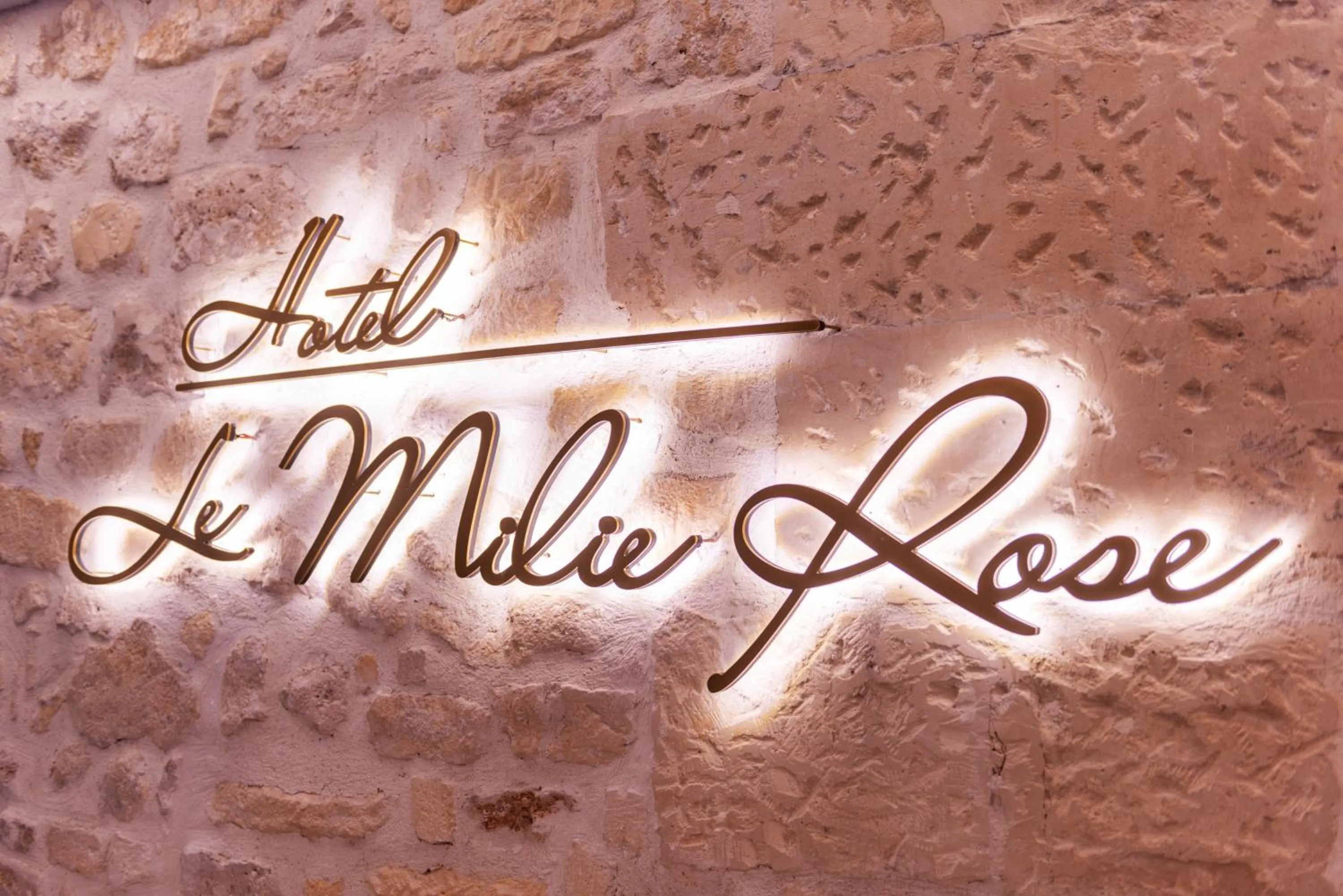 Lobby or reception in Hôtel Le Milie Rose