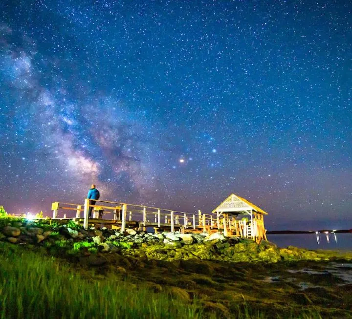 Night in The Marmalade Motel