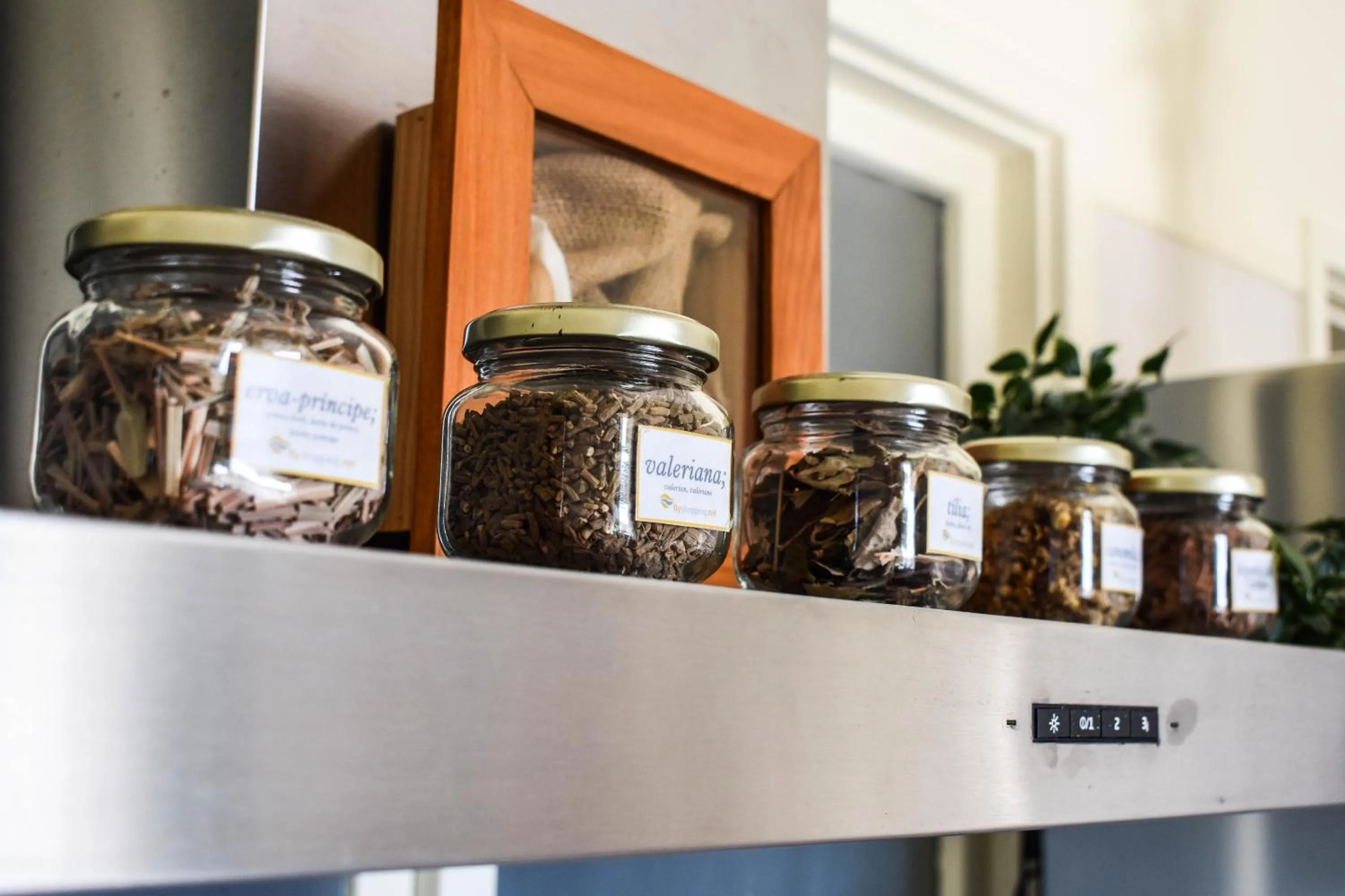 Communal kitchen in Batalhoz House