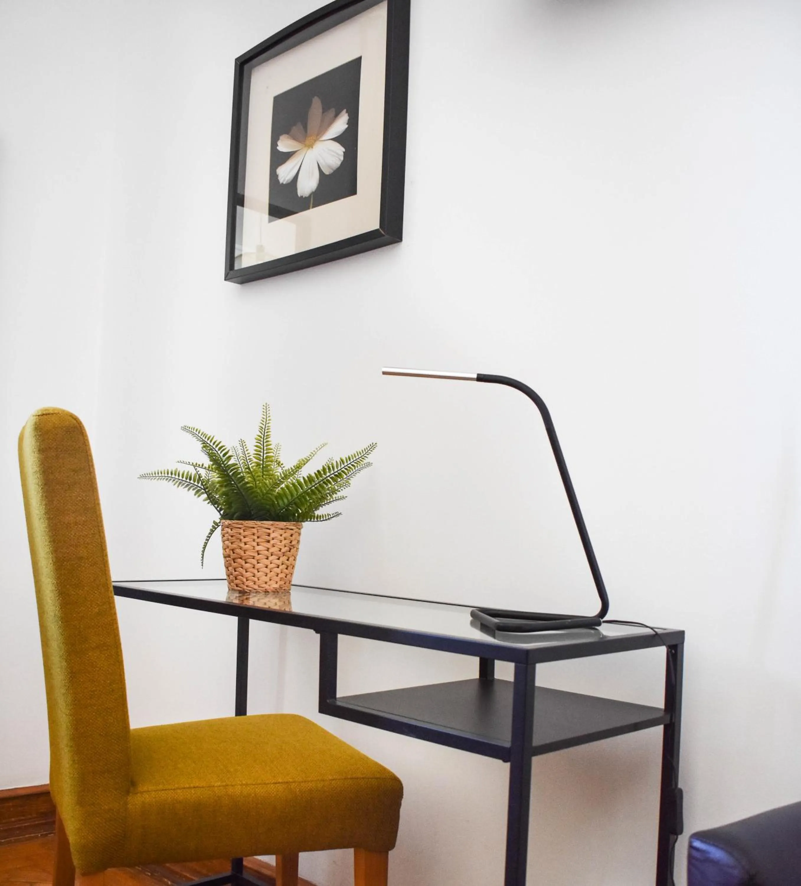 Floor plan in Batalhoz House