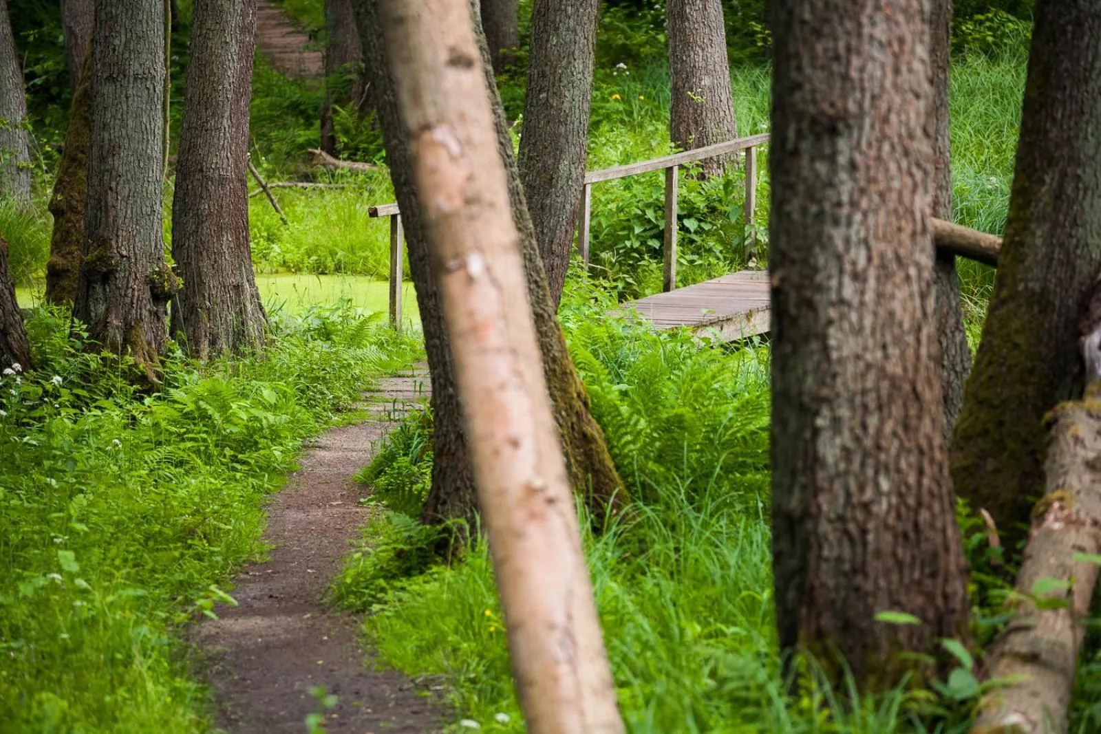 Natural landscape in Hotel Gut Klostermühle natur resort & medical spa