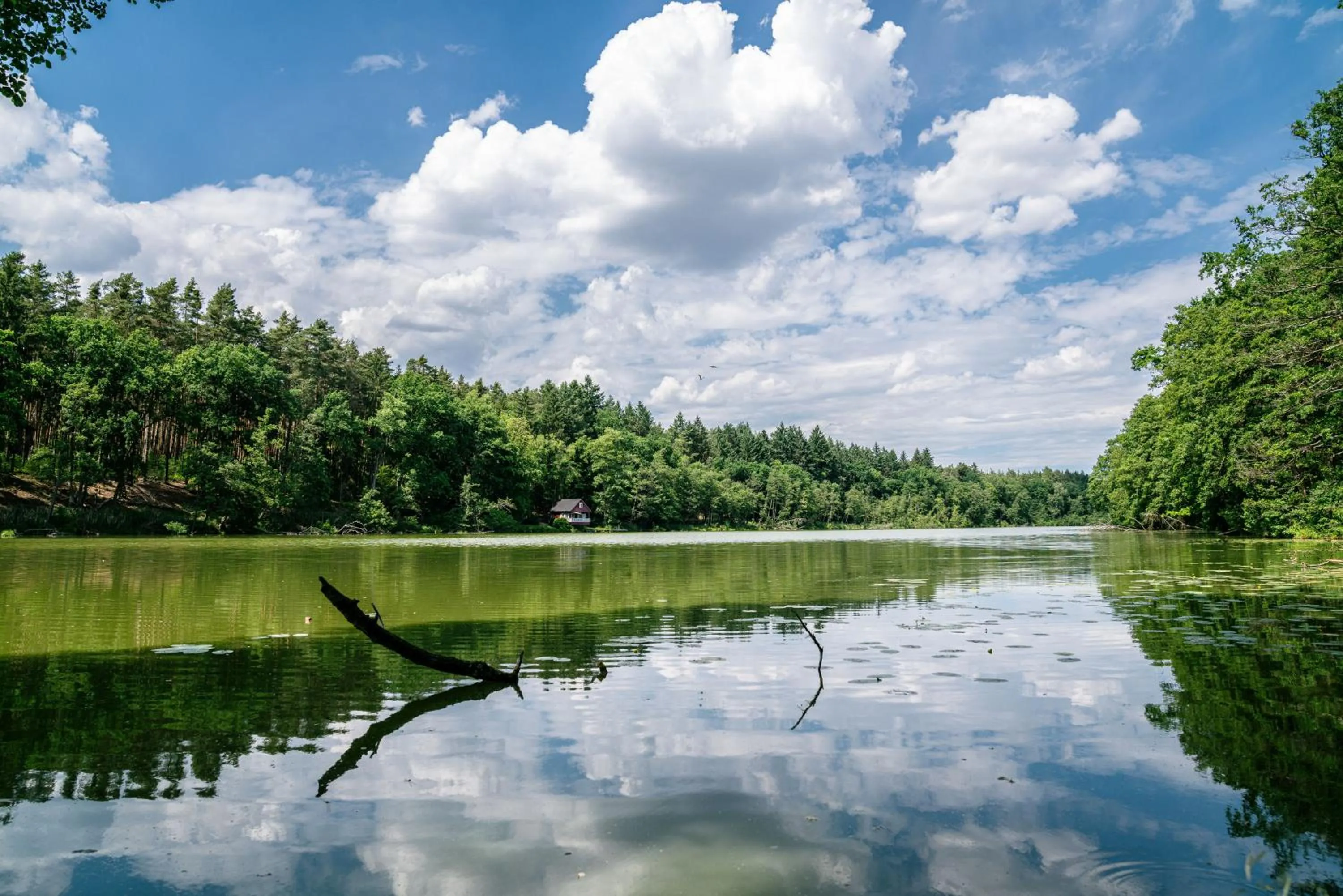 Hiking in Hotel Gut Klostermühle natur resort & medical spa