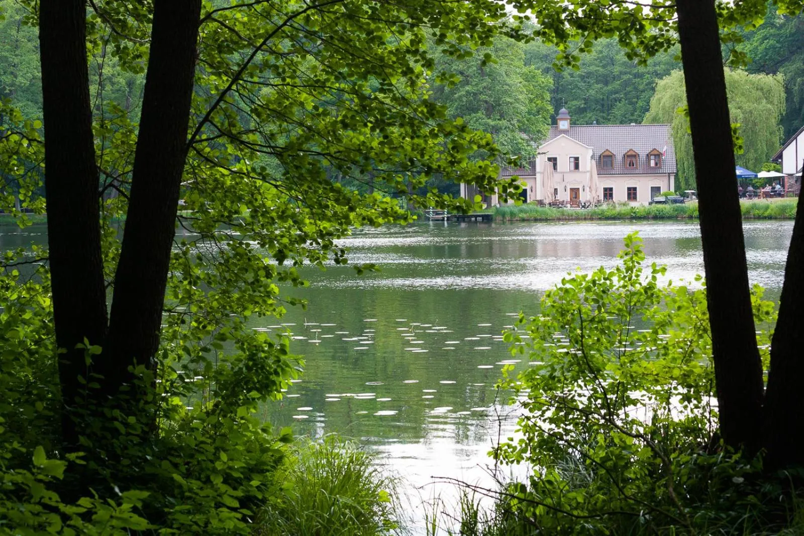 Restaurant/places to eat in Hotel Gut Klostermühle natur resort & medical spa