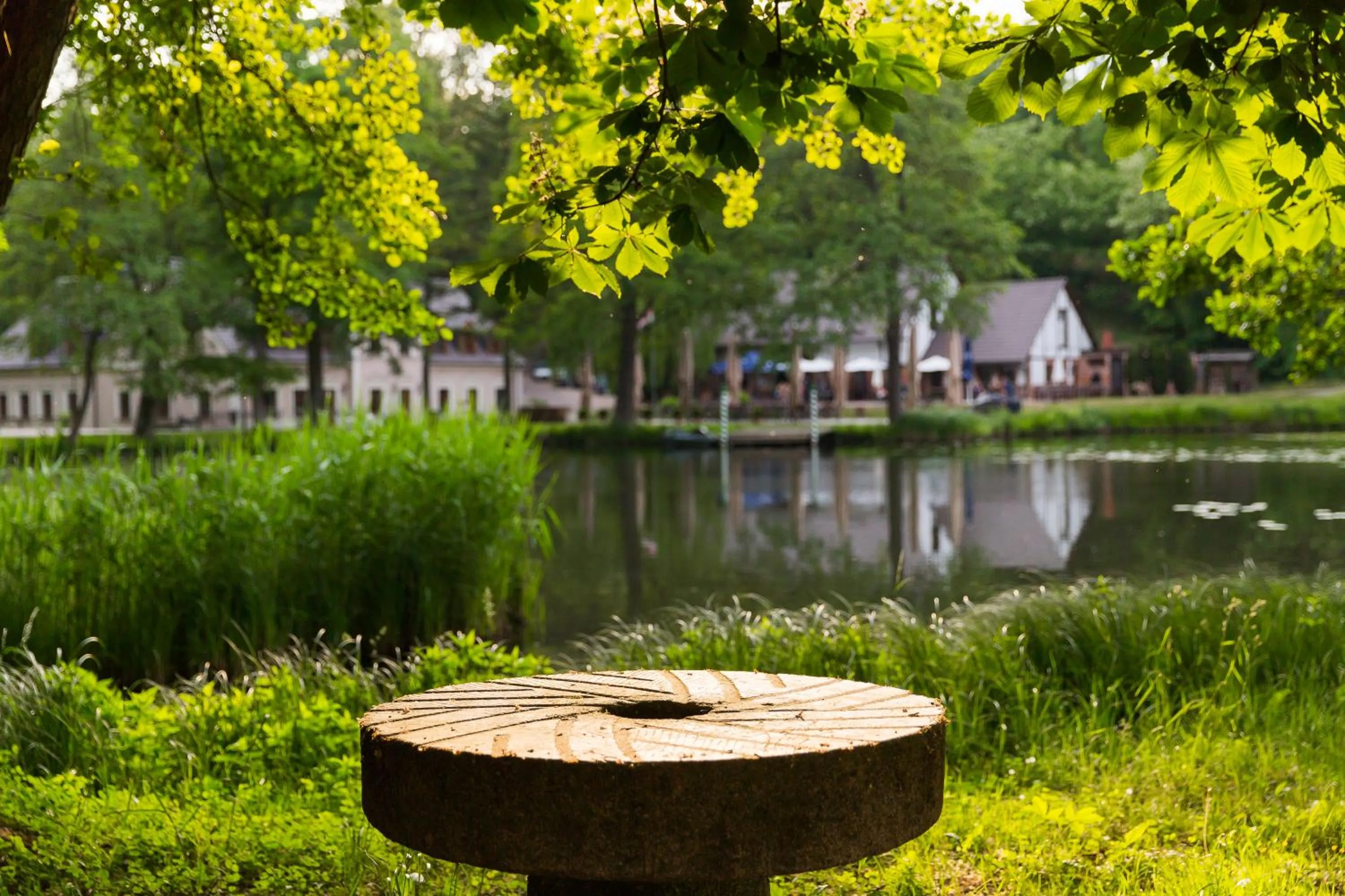 Lake view in Hotel Gut Klostermühle natur resort & medical spa