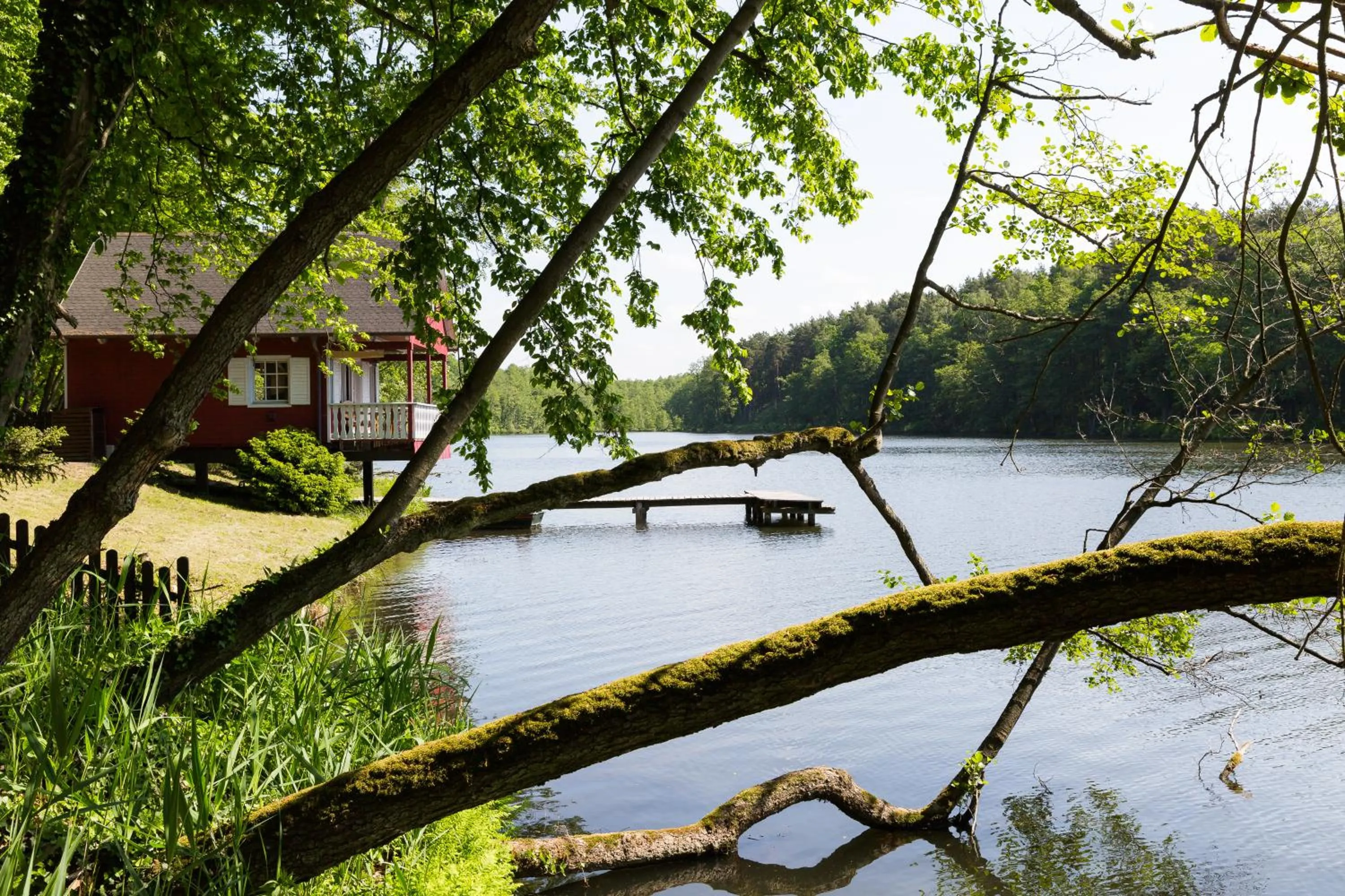 Lake view in Hotel Gut Klostermühle natur resort & medical spa