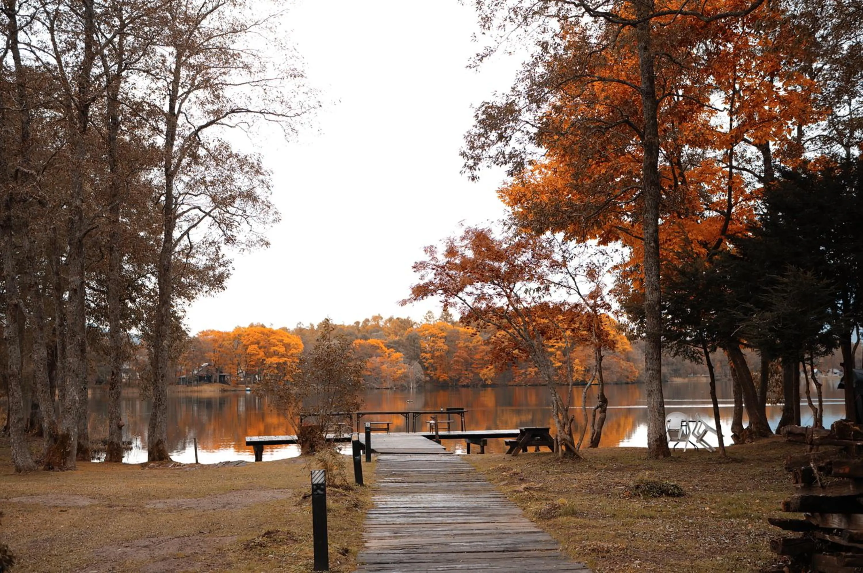 Natural landscape in Lakeside Hotels Kuore