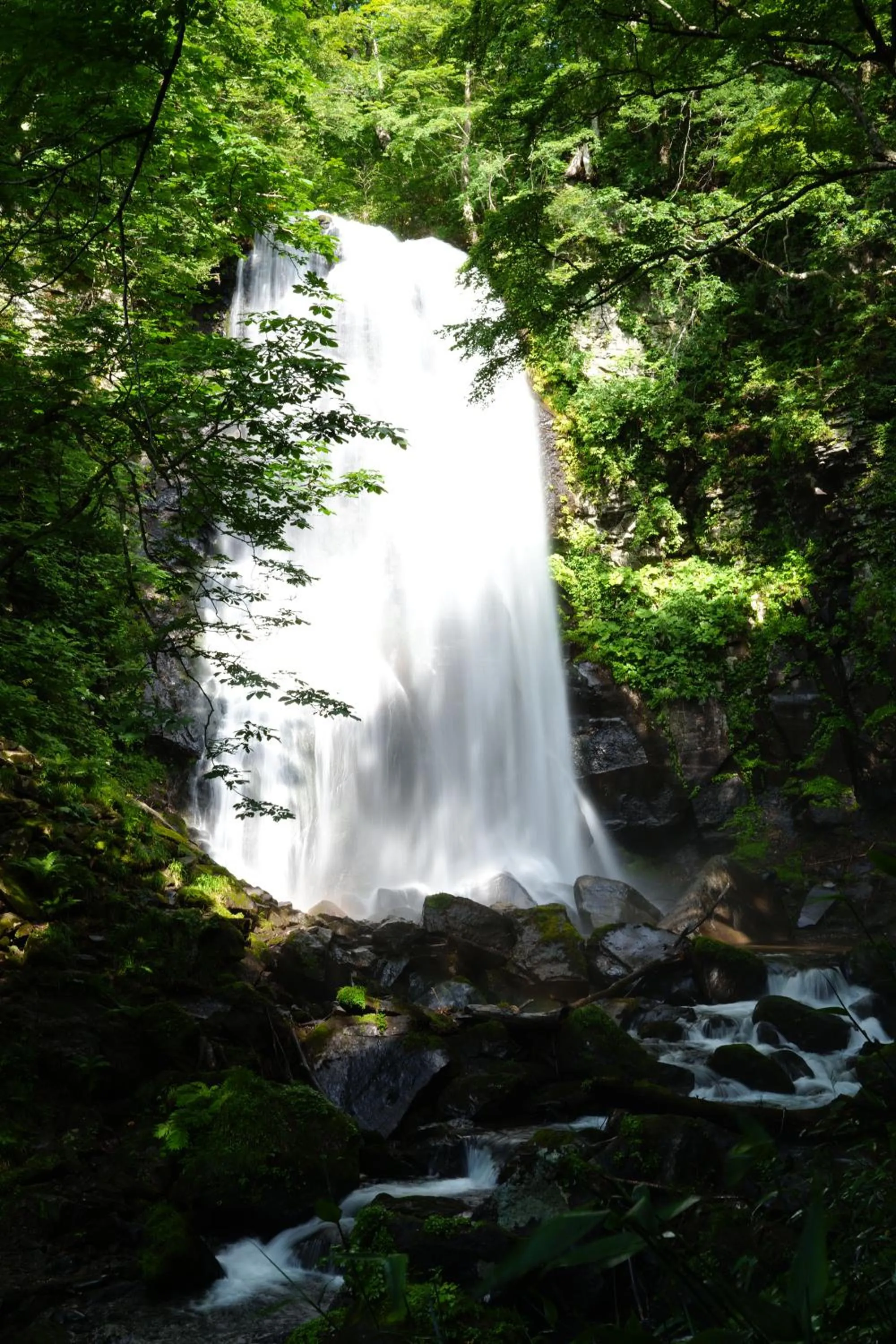 Natural landscape in Lakeside Hotels Kuore