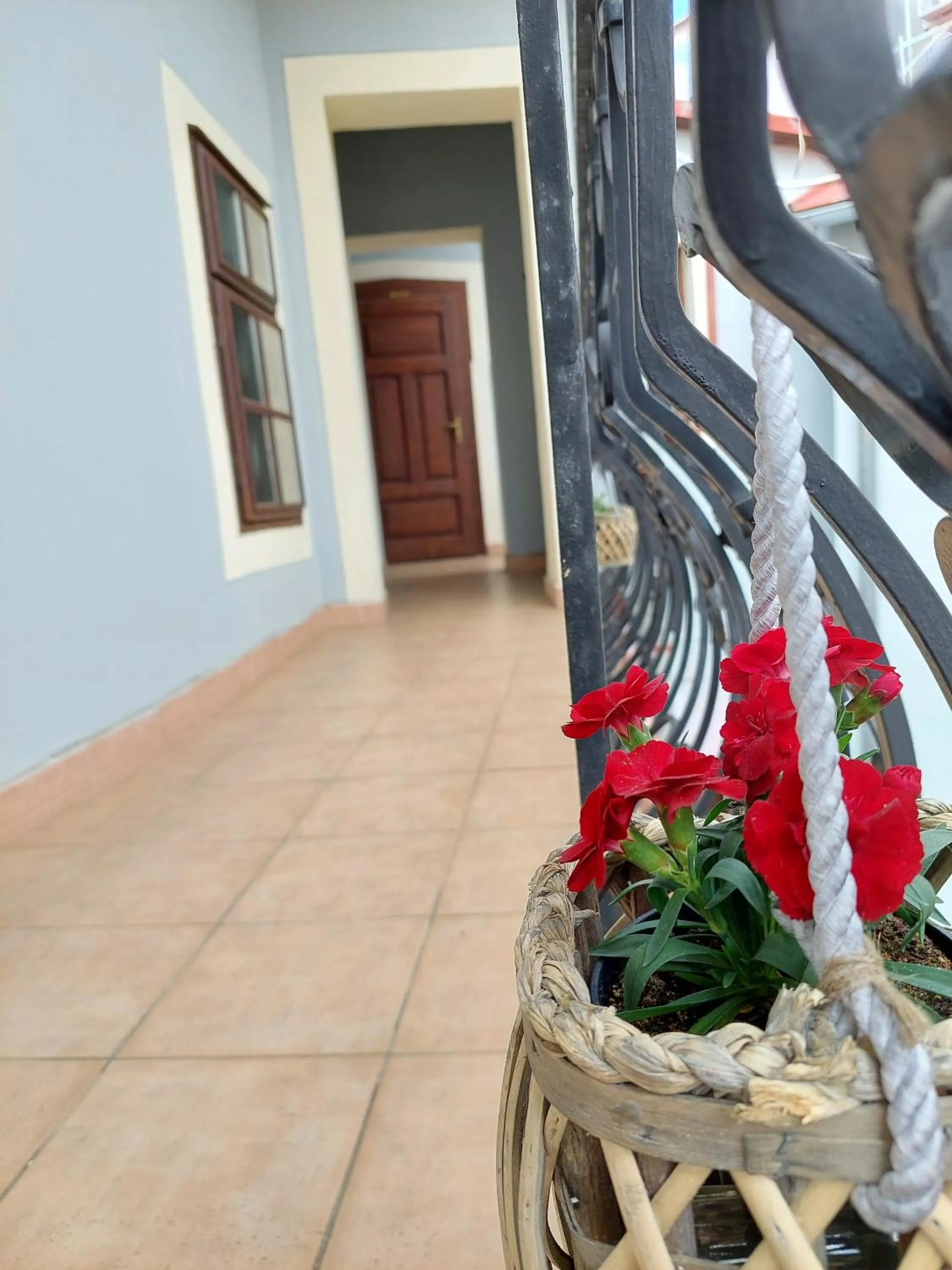 Hotel Salamander - Garni