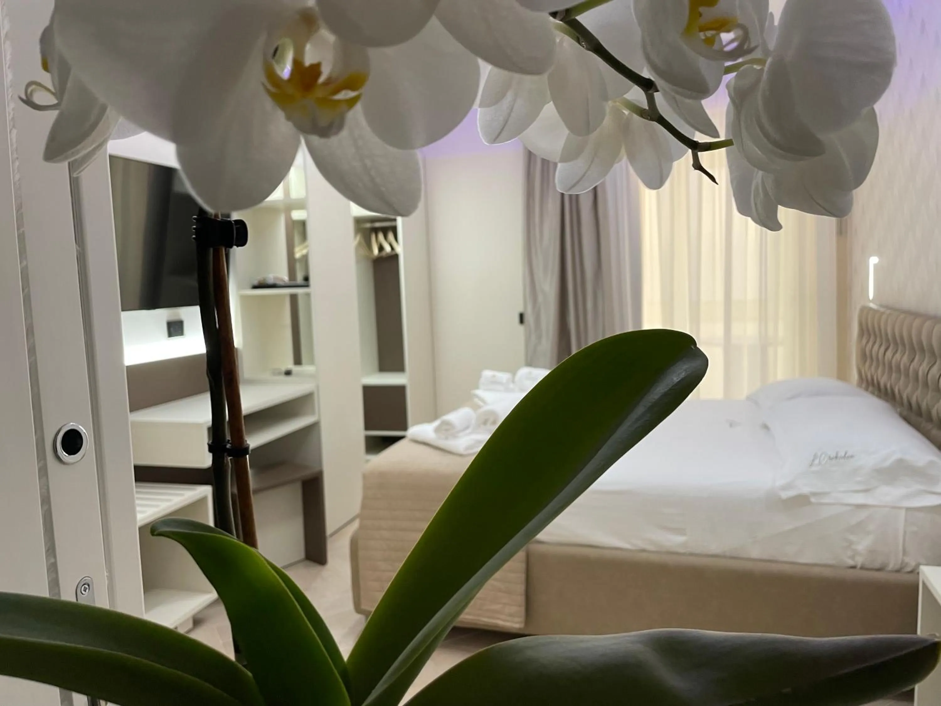 Photo of the whole room in B&B L'Orchidea