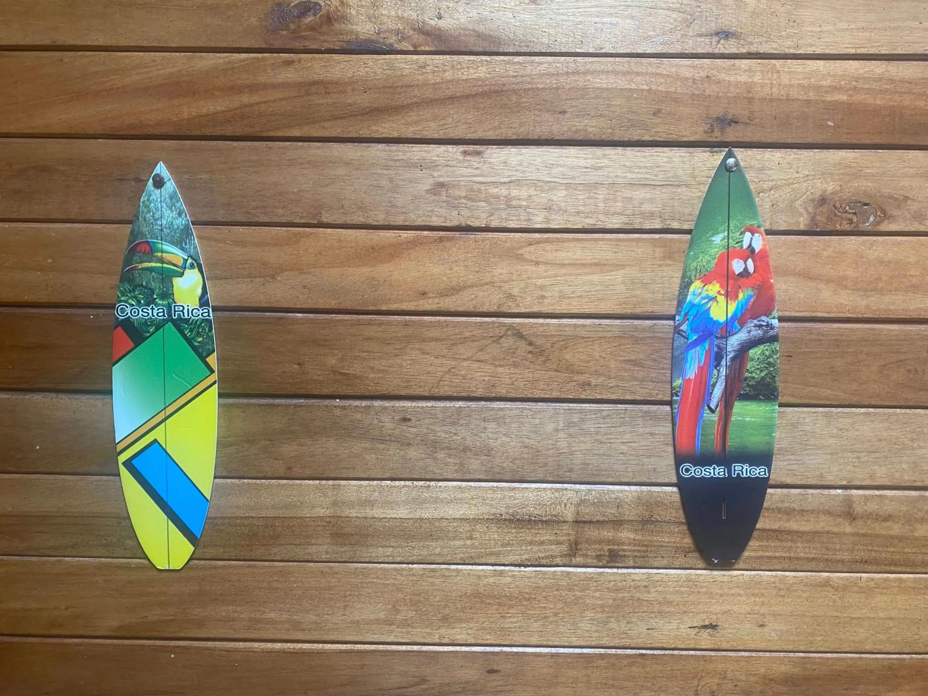 Birds & Breakfast Costa Rica