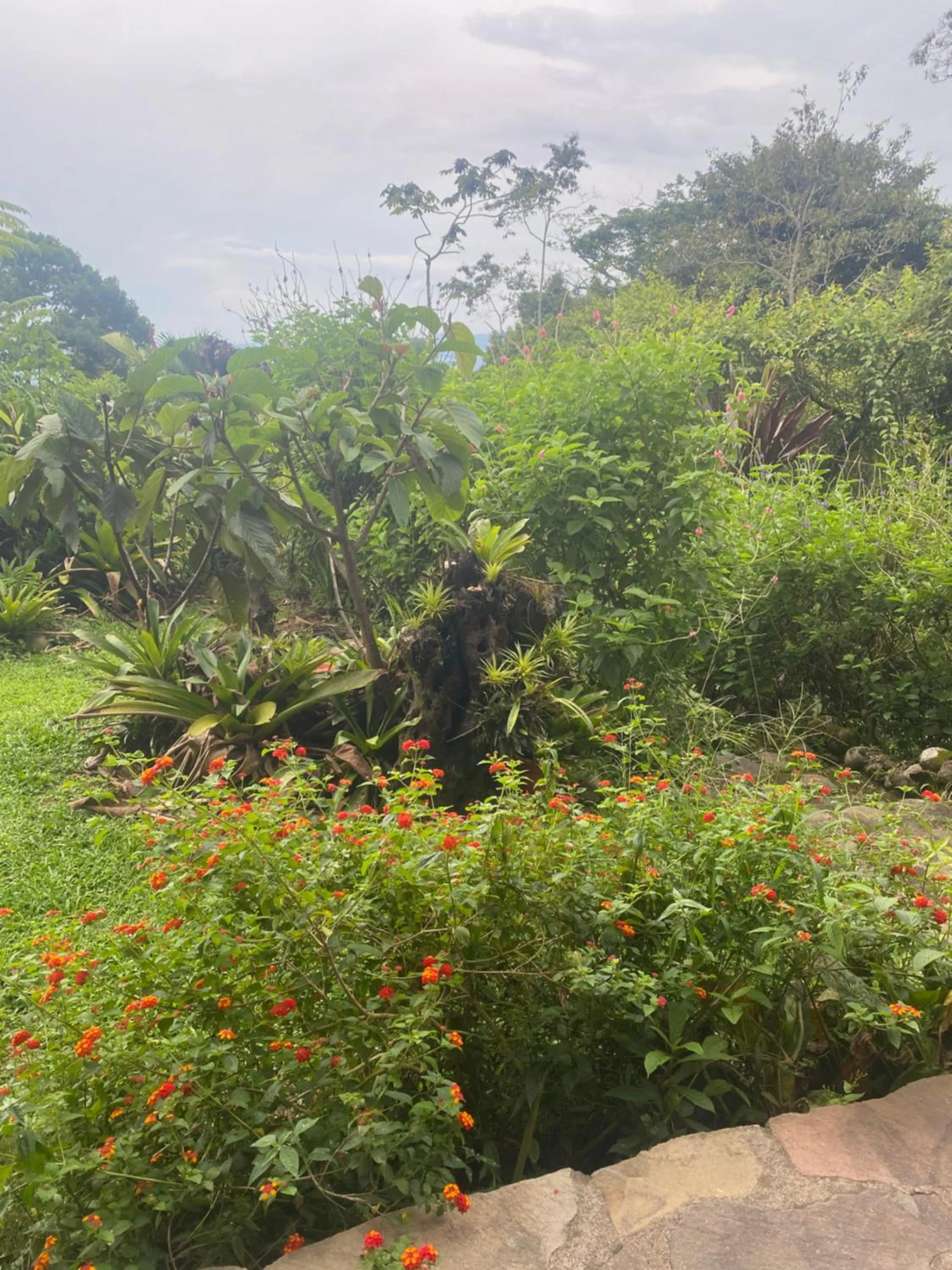 Birds & Breakfast Costa Rica