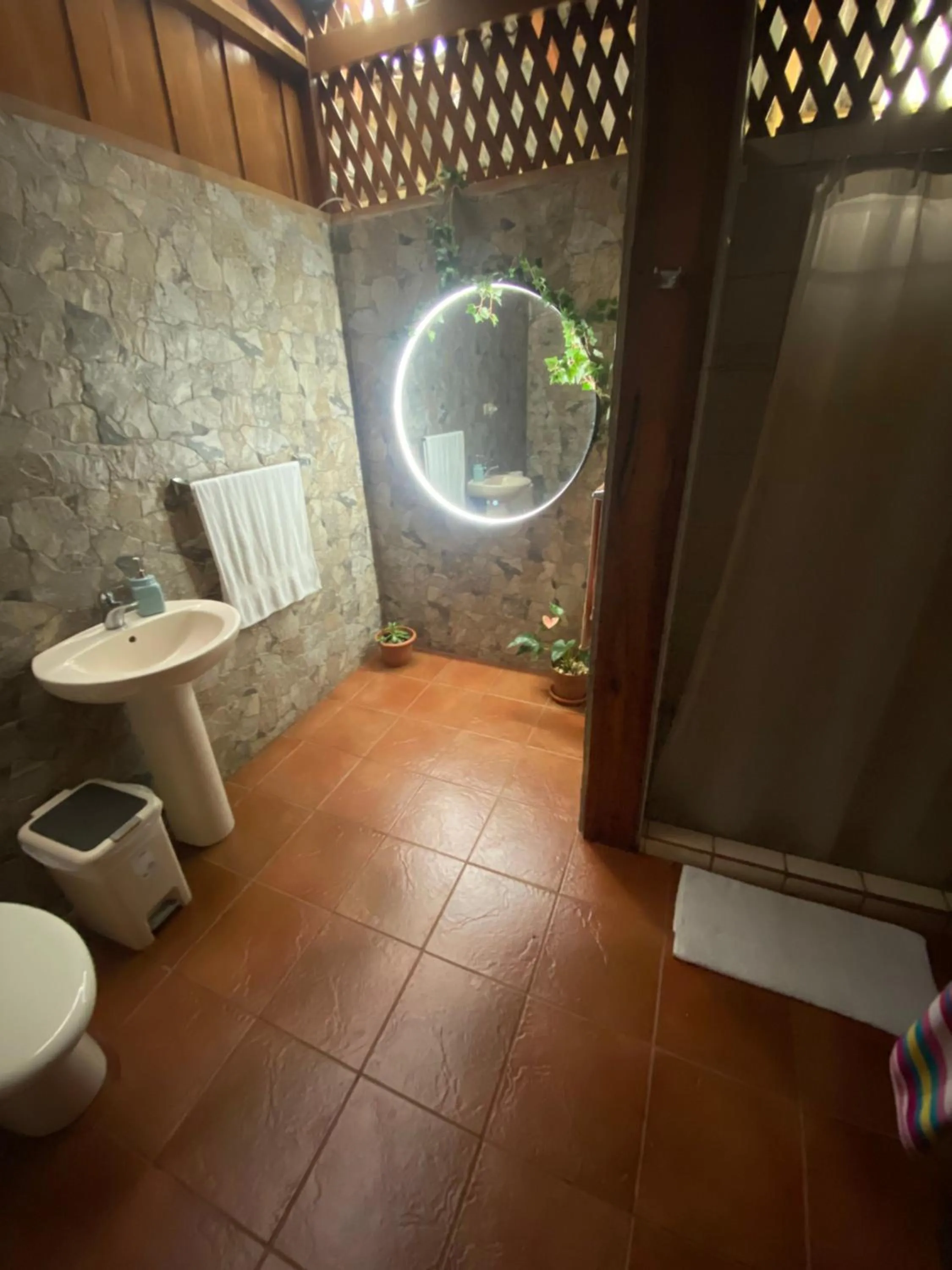 Birds & Breakfast Costa Rica