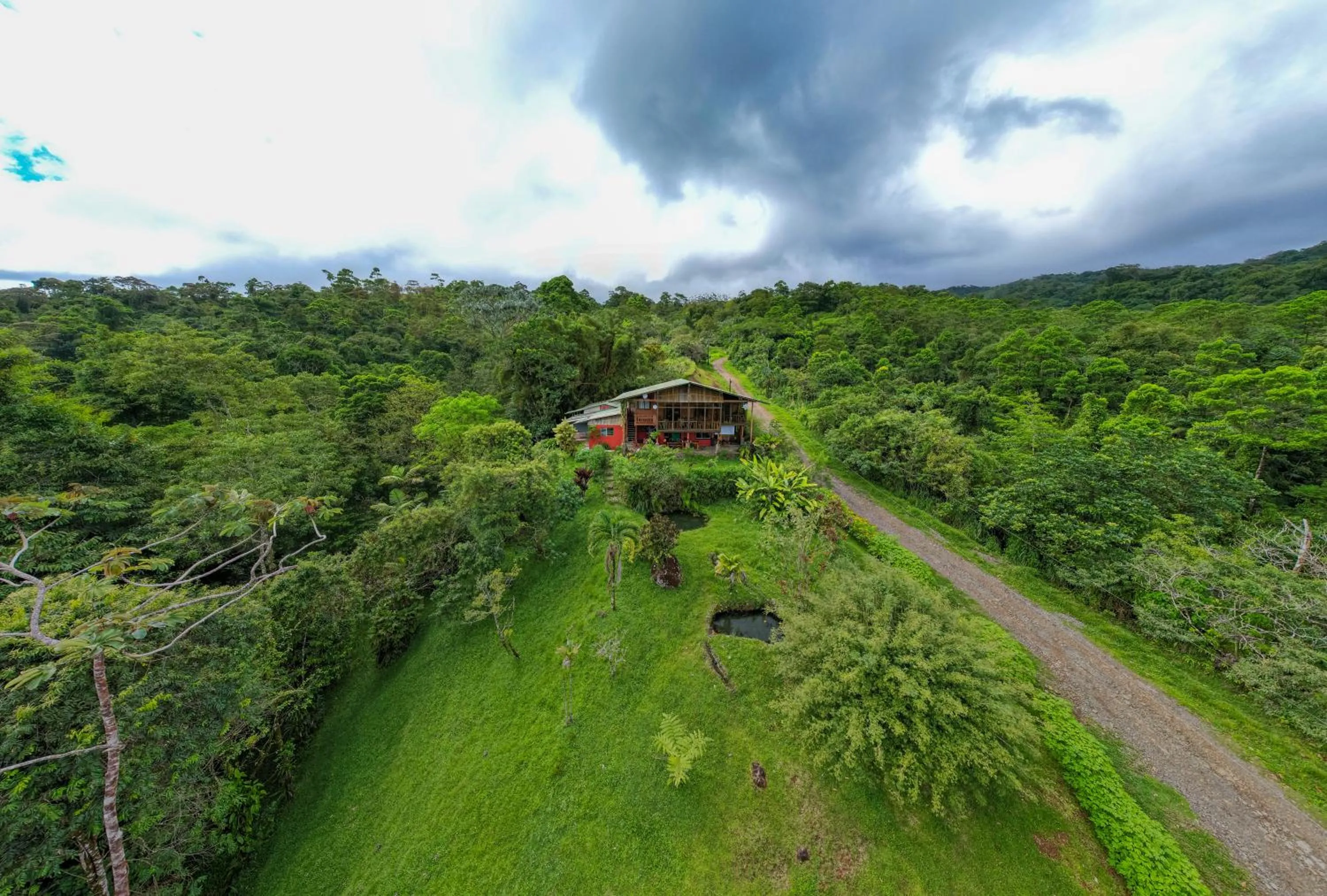 Birds & Breakfast Costa Rica