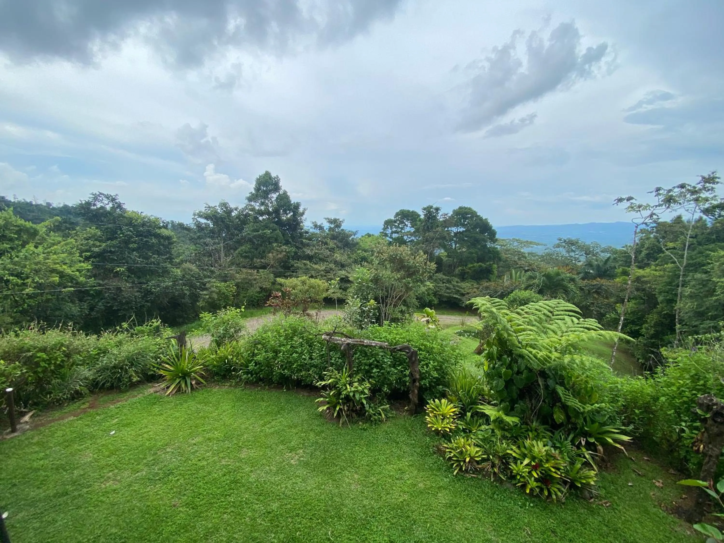Birds & Breakfast Costa Rica