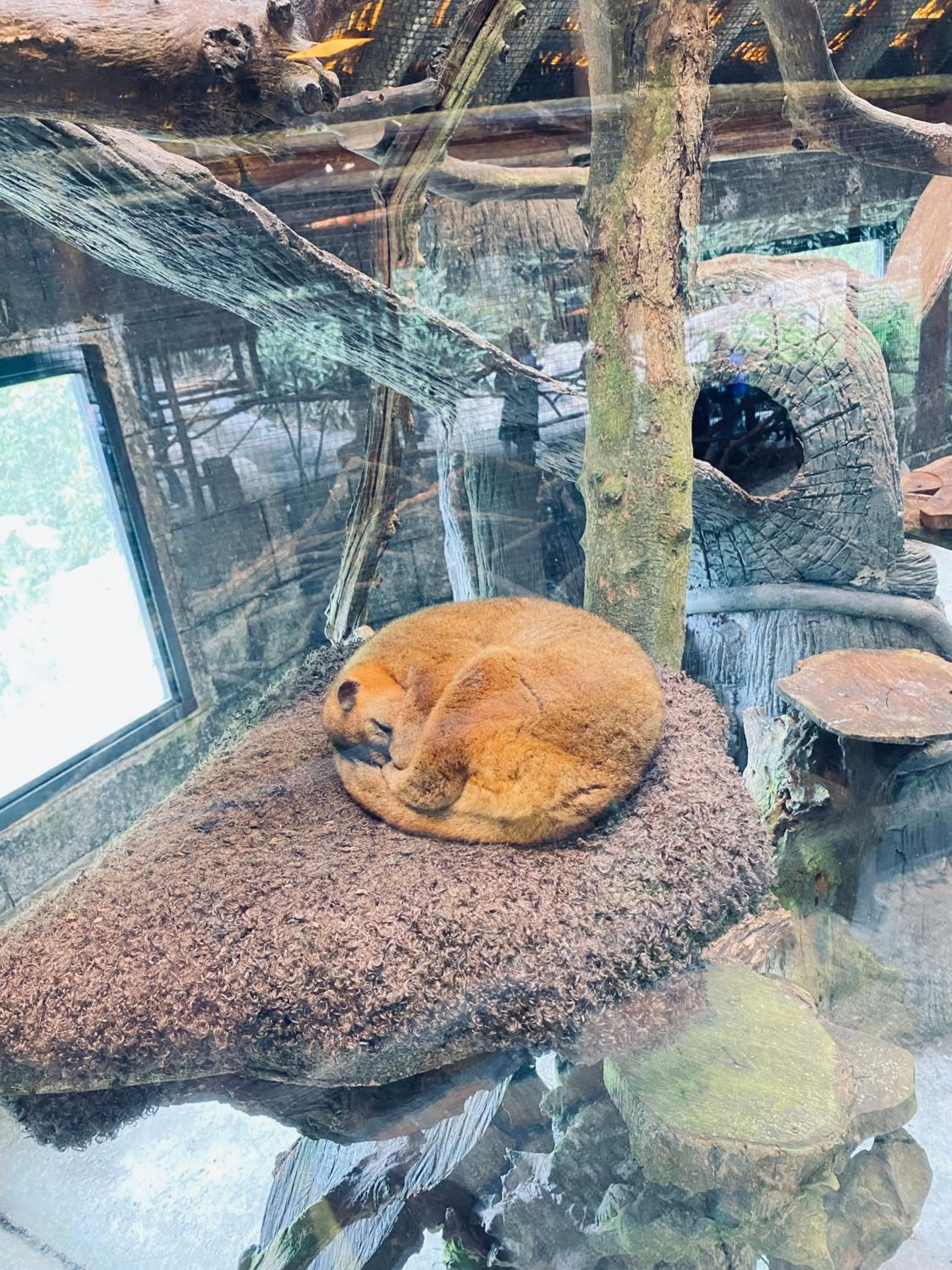 Nearby landmark in Park View Hotel & Restaurant