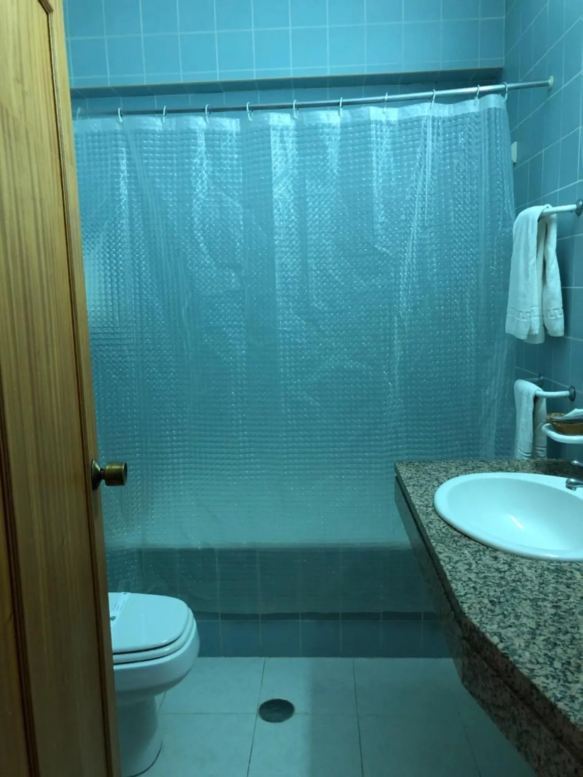 Toilet in HOTEL CRUZ DA MATA