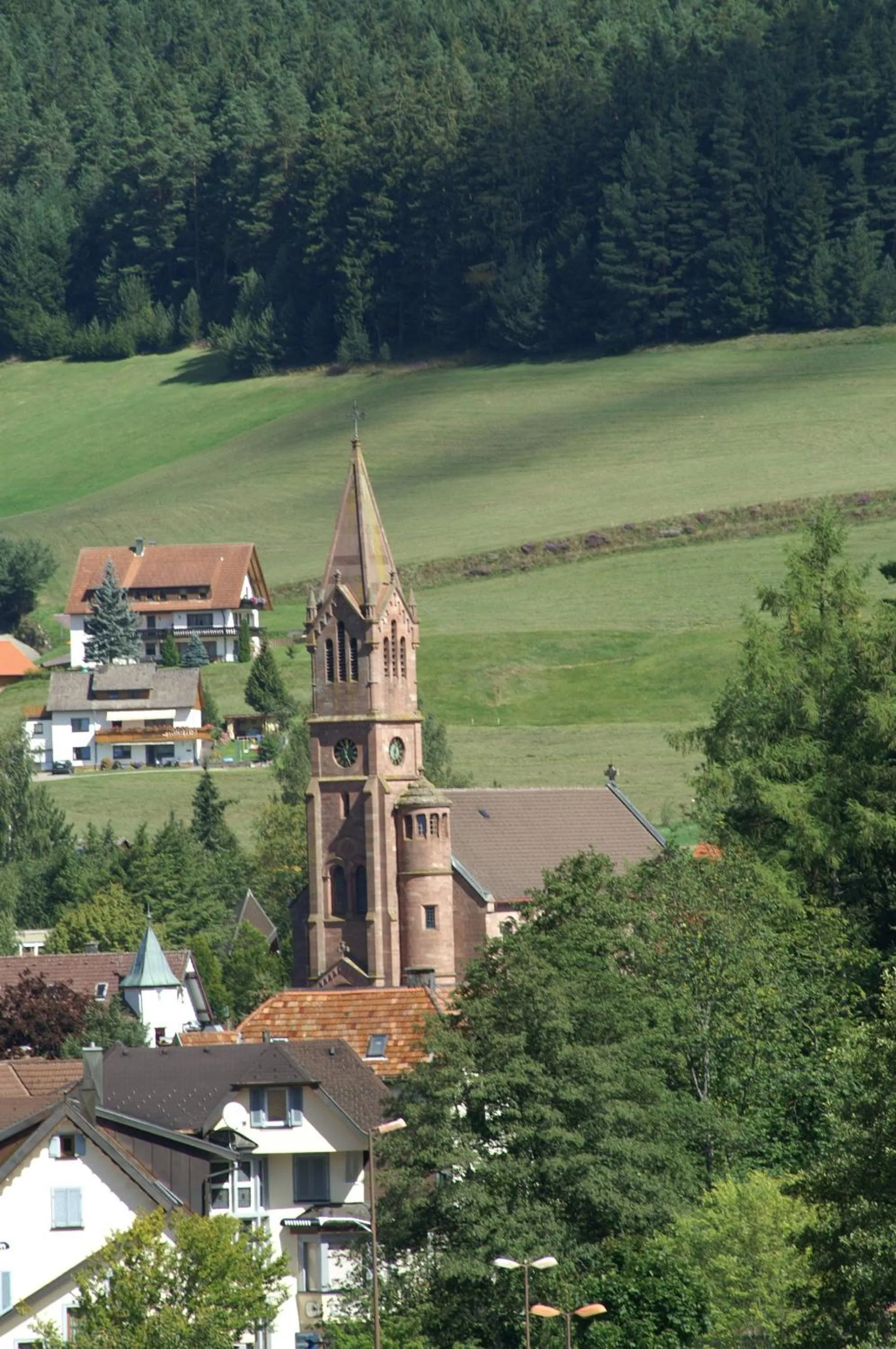Area and facilities in Hotel Lamm Baiersbronn Mitteltal