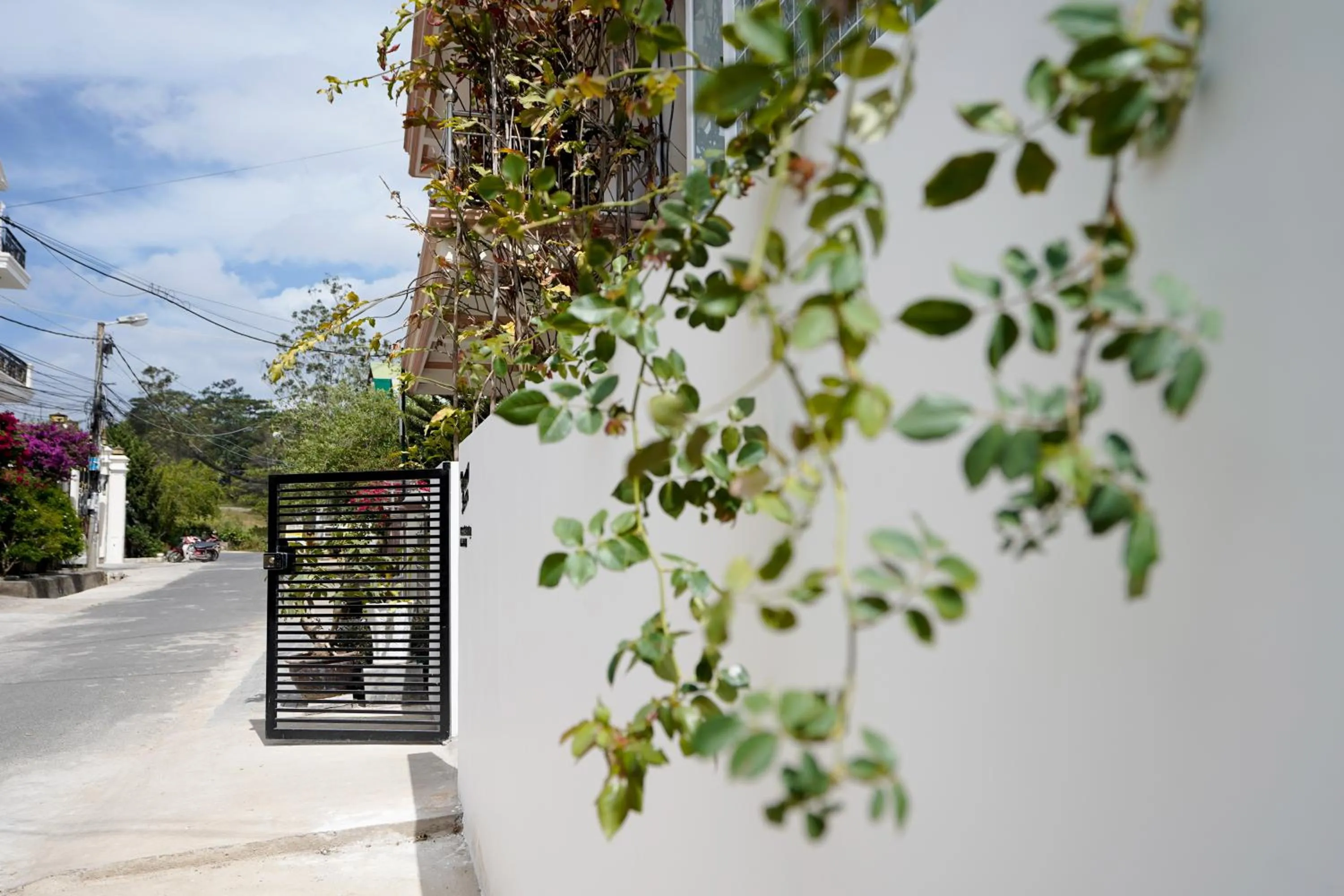 Facade/entrance in Whammy House Dalat