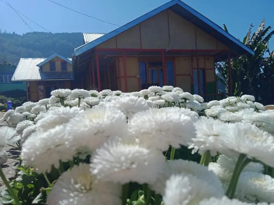 Property building in Niru Homestay