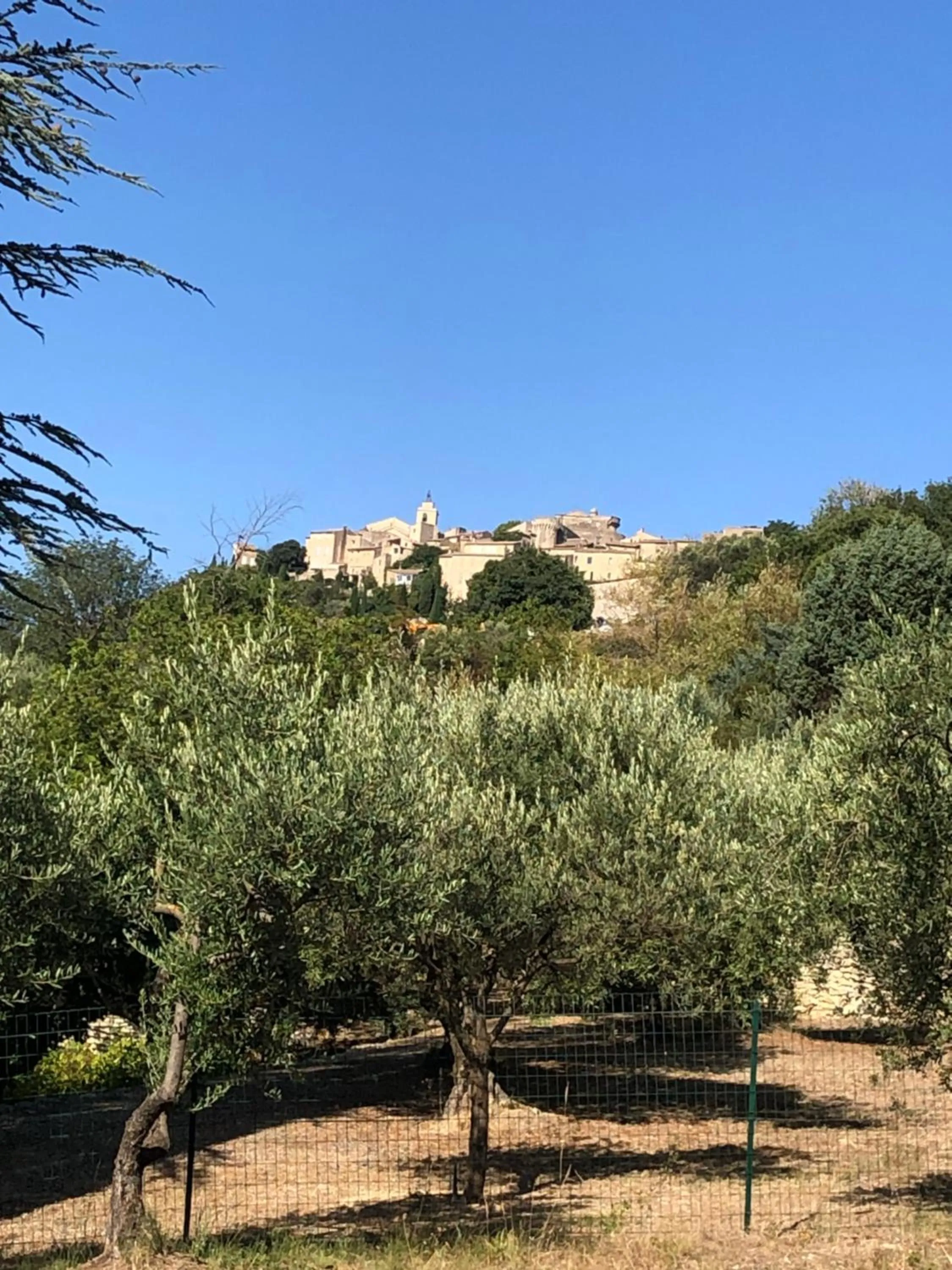 Garden view in Les Milles Roches