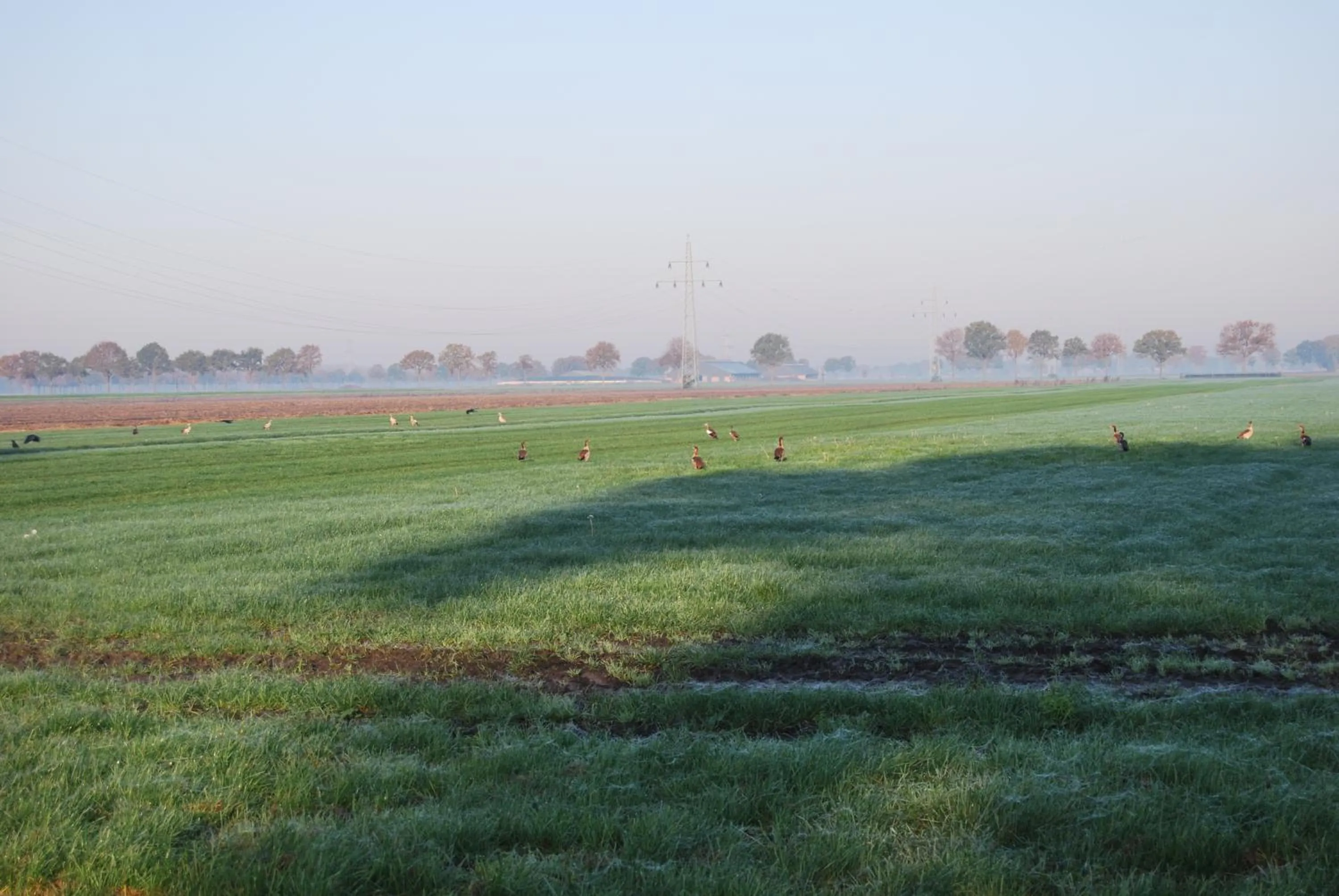 View (from property/room) in Hoeve de Heemser Parel