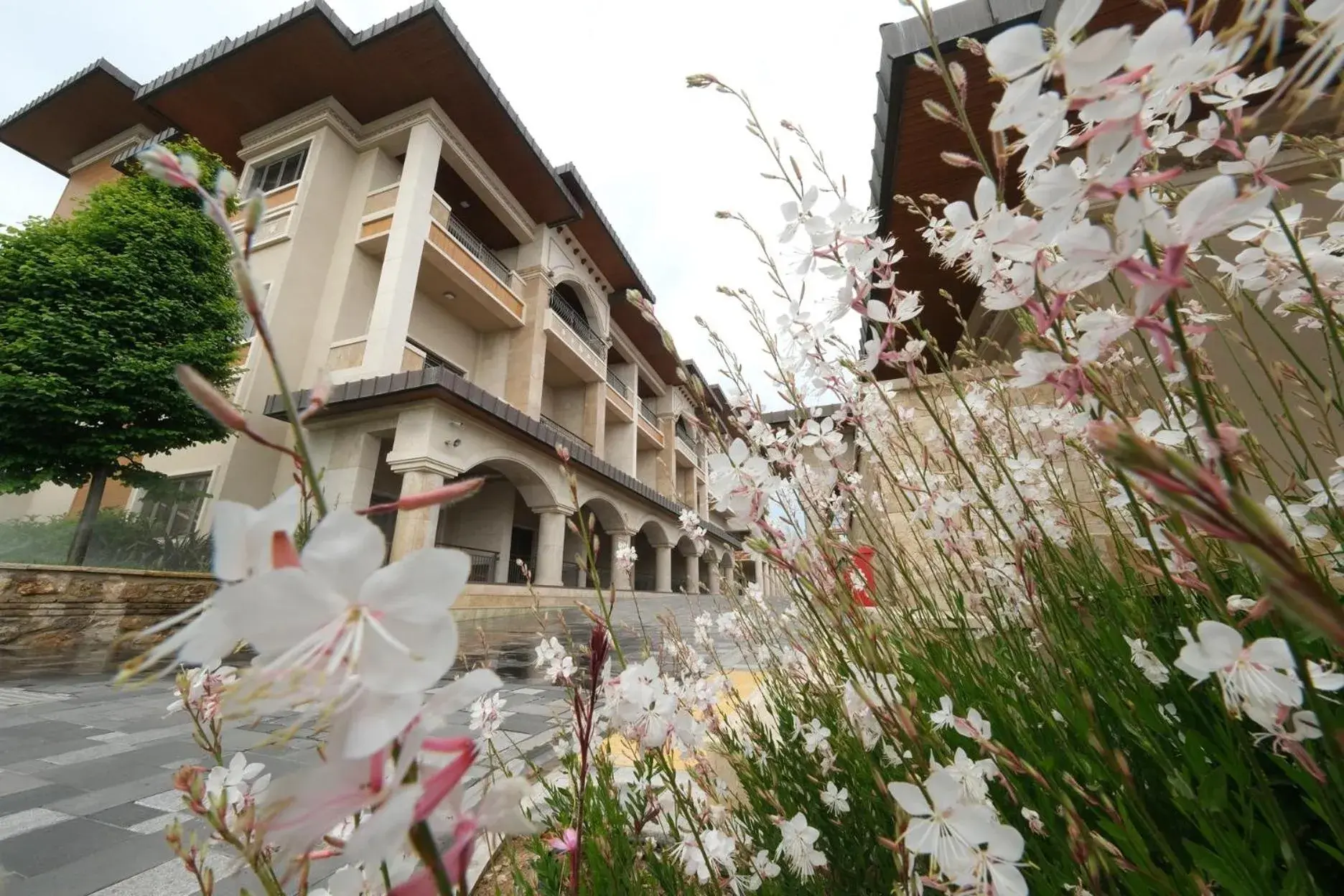 Property building in Birun Ada Hotel Property building in Birun Ada Hotel