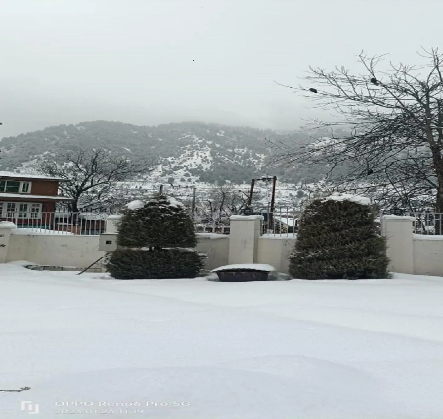 Winter in Hotel Outlook