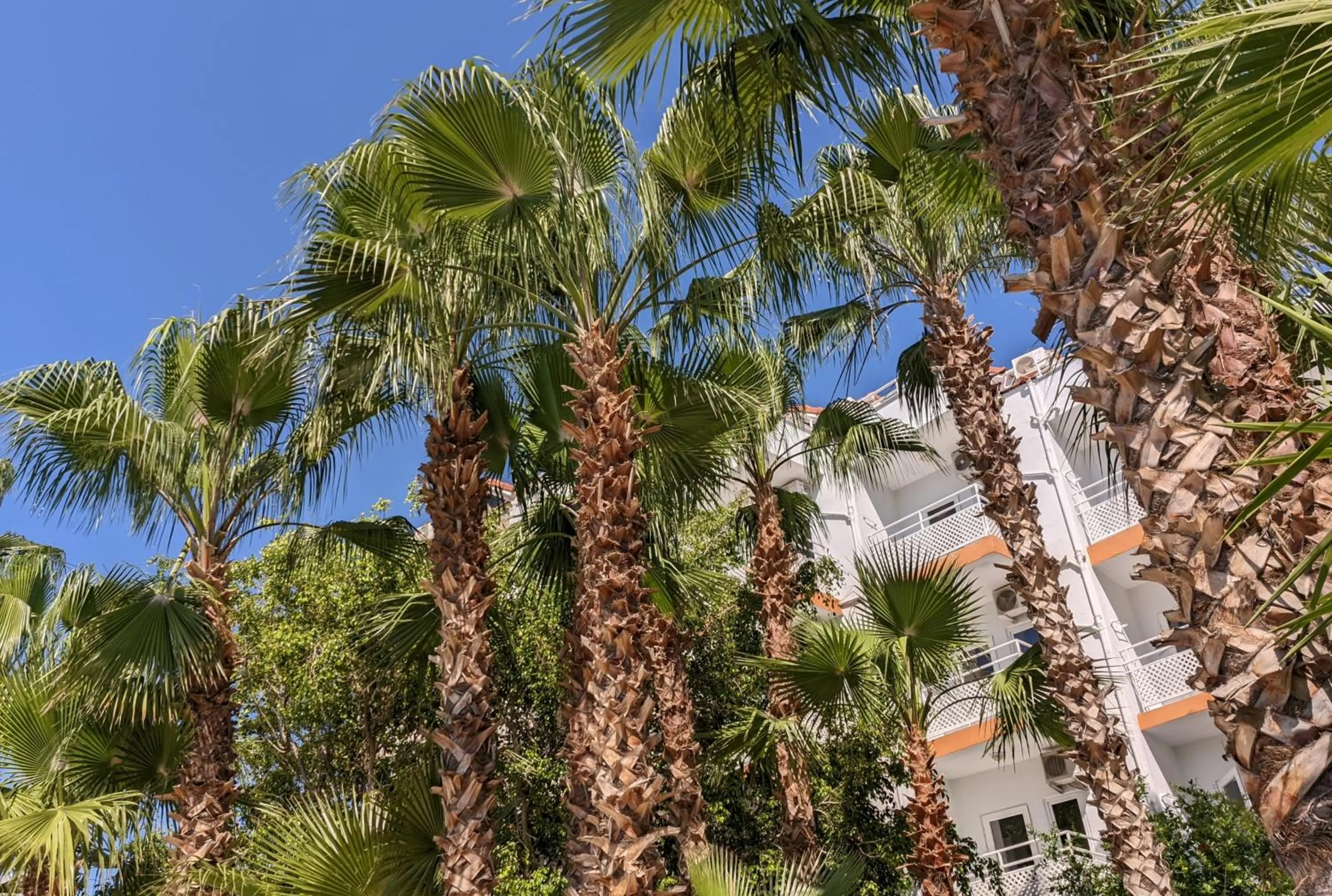 Spring in UK Hotel Kiriş