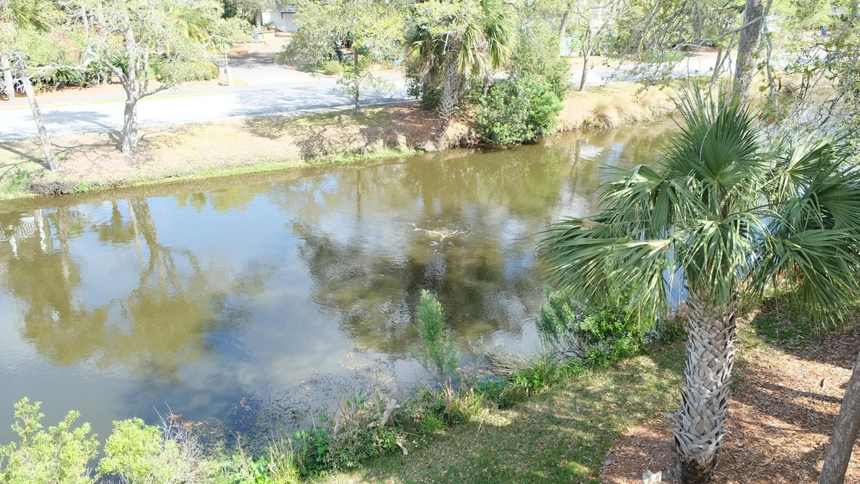 View (from property/room) in Elegant 3 BR 3 BA Wild Dunes Gated Resort Villa with 2 Golf Courses, Beach and Pool