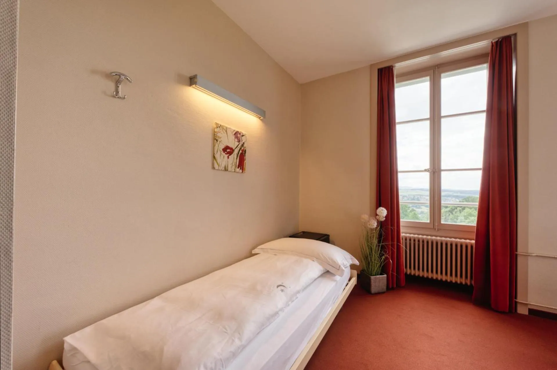 Bed in Hôtel Le Funi de Cossonay