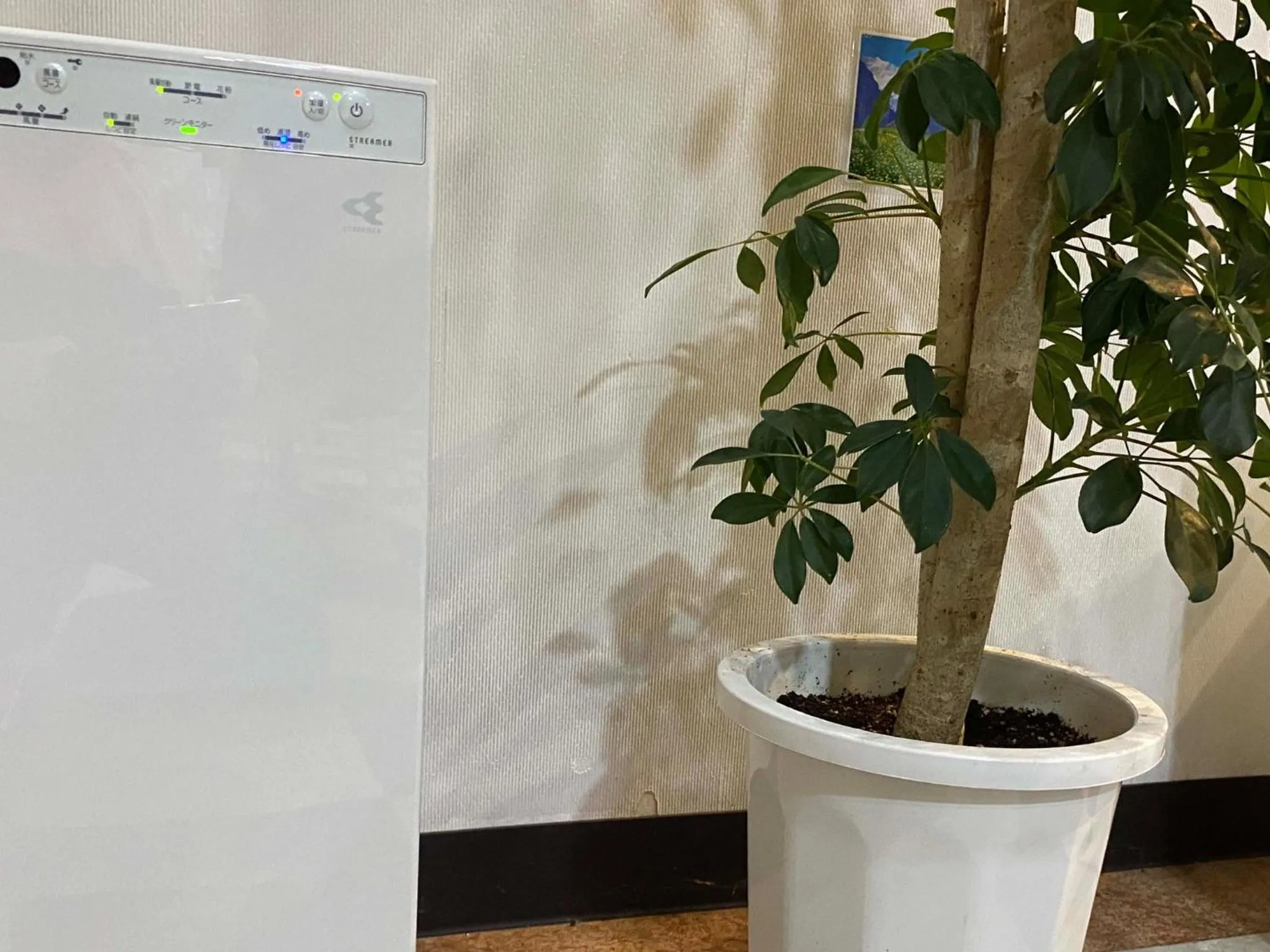 HOSTEL HIROSAKI -Mixed dormitory-Vacation STAY 32012v