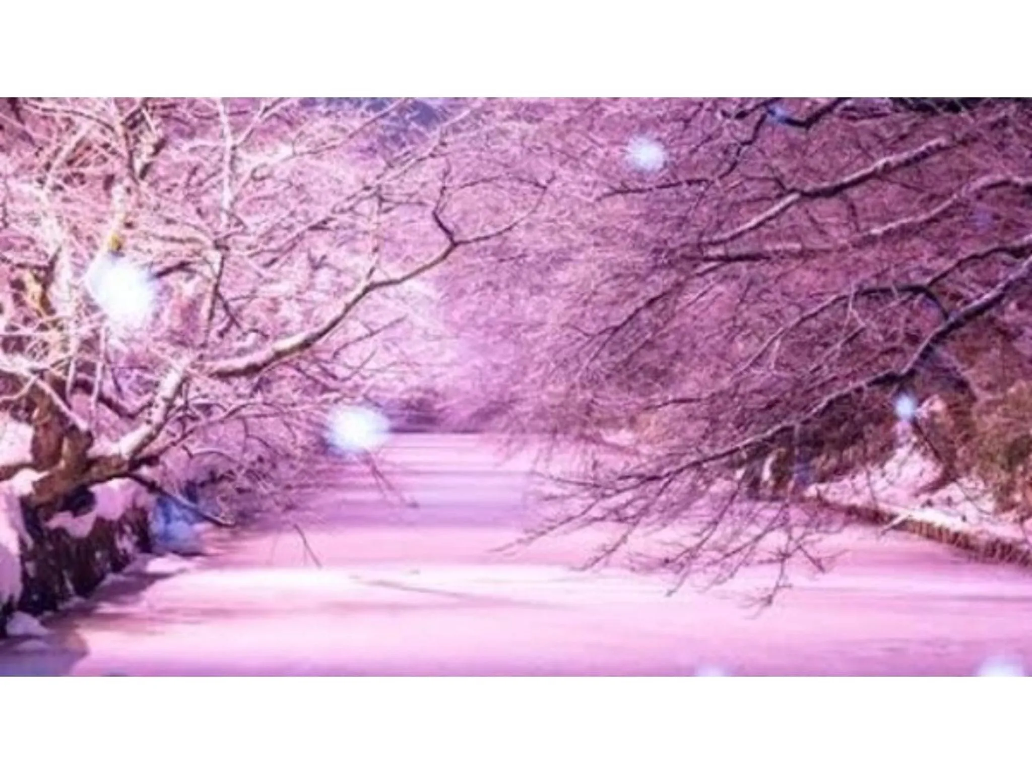 HOSTEL HIROSAKI -Mixed dormitory-Vacation STAY 32012v