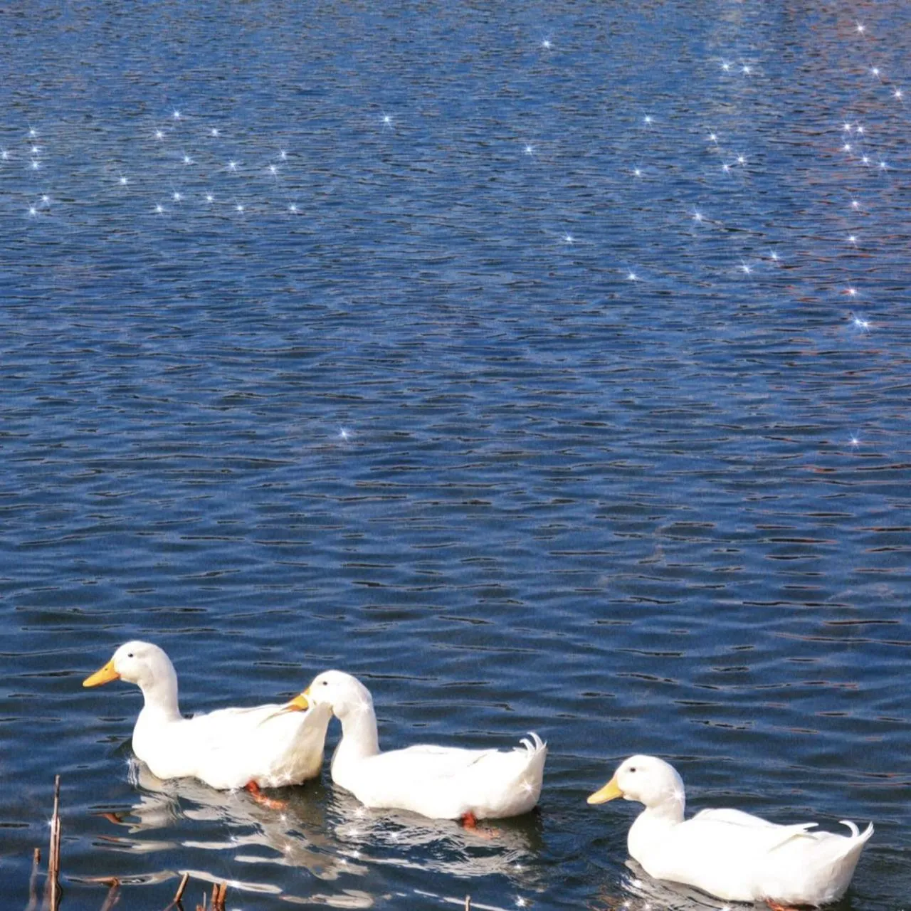 Property building in Melia Chongqing