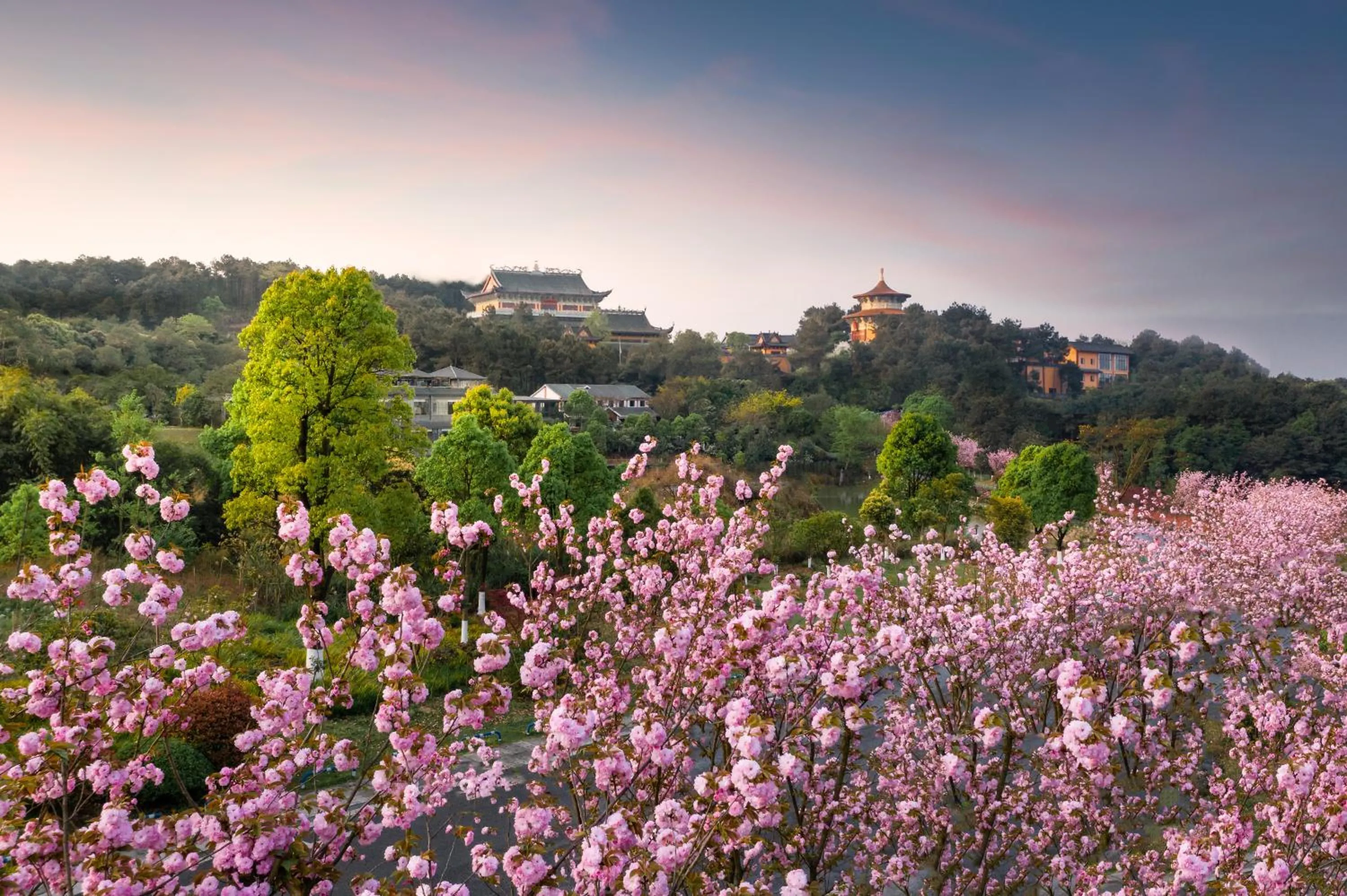 Activities in Melia Chongqing