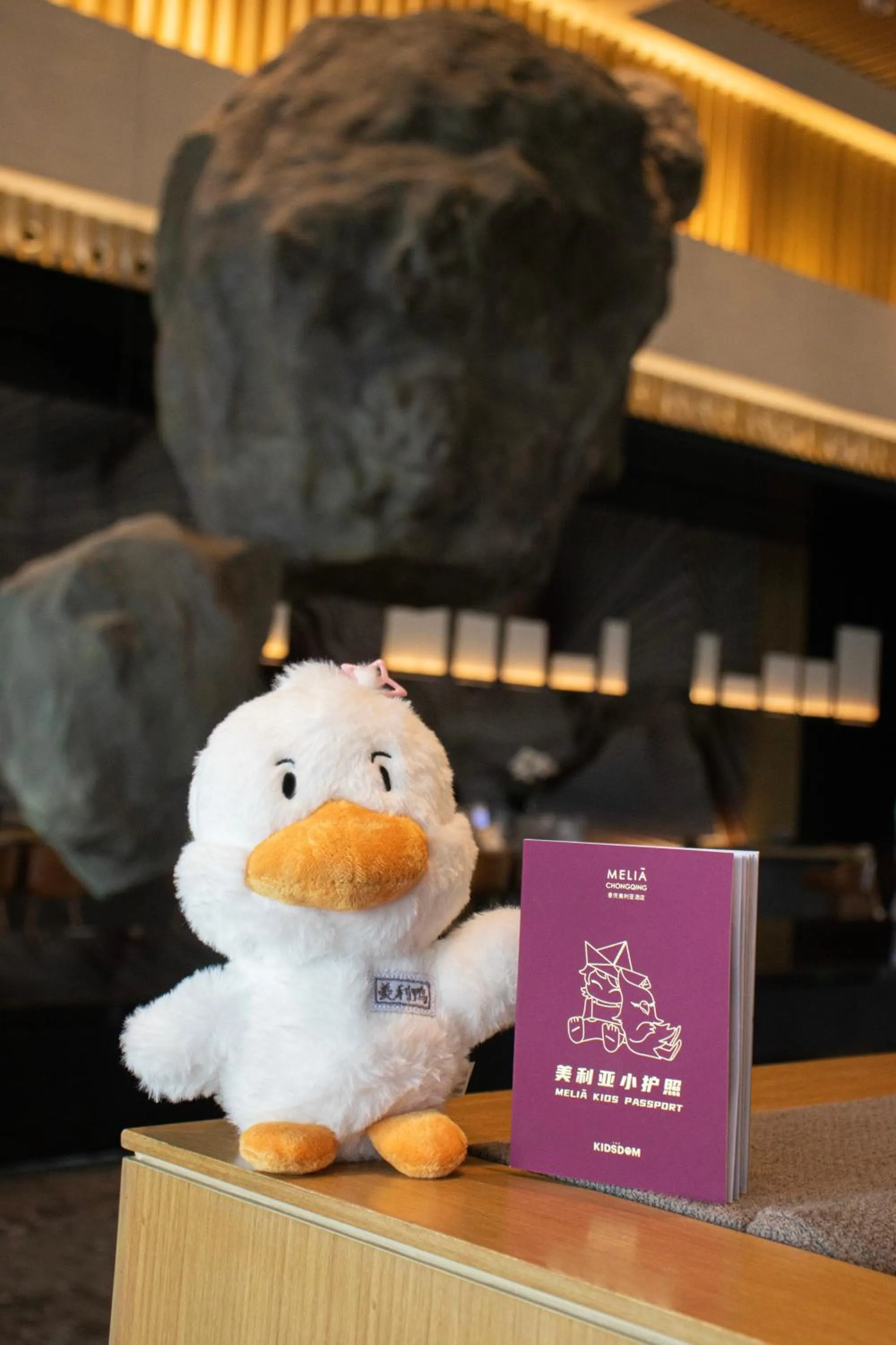 Activities in Melia Chongqing