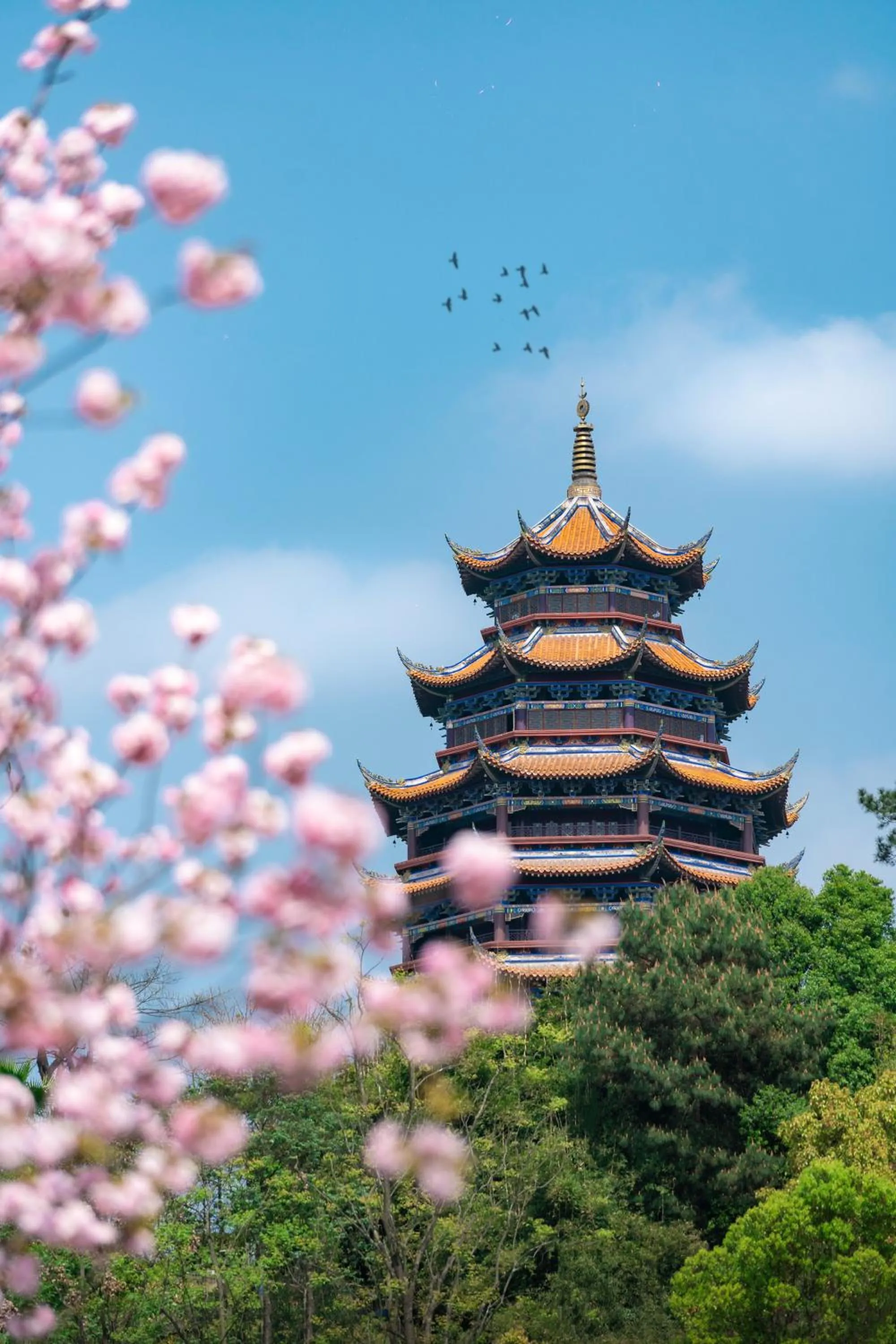 Activities in Melia Chongqing