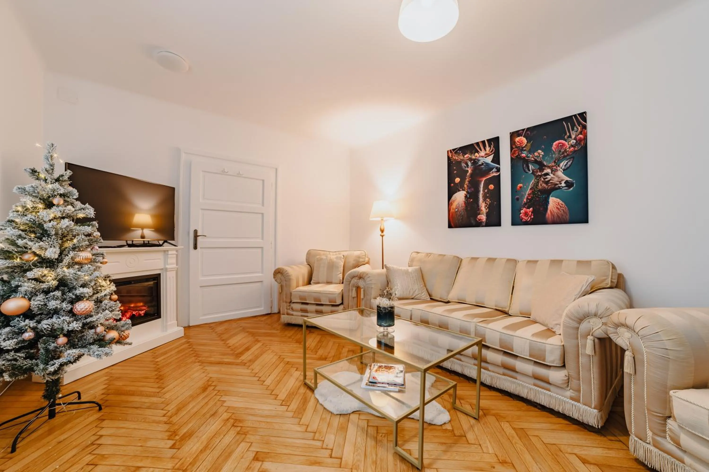 TV and multimedia in ALBERT RESIDENCE Brasov with complimentary parking and 10 percent Food and Drinks