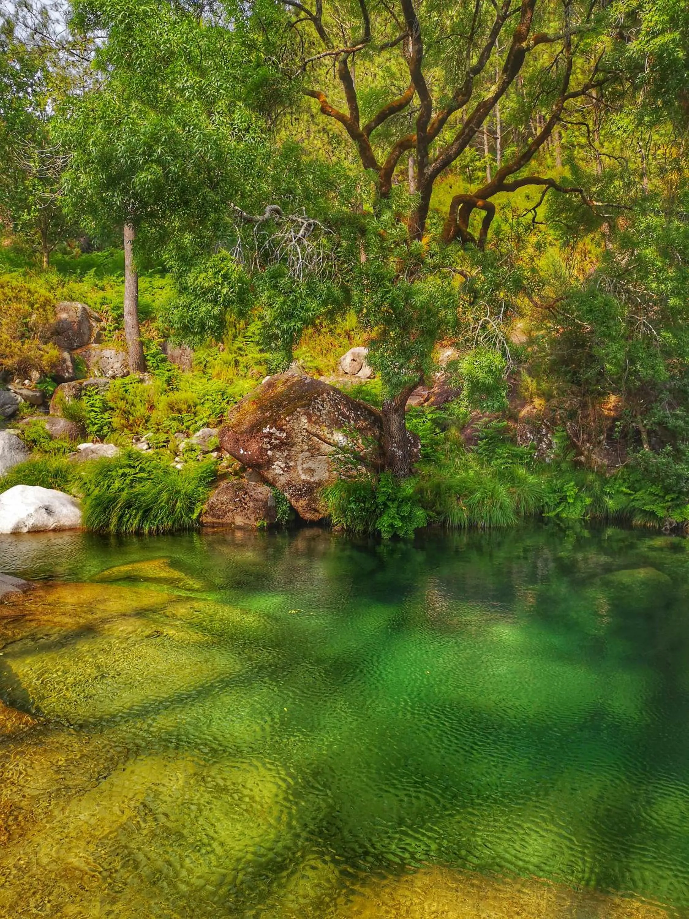 Summer in Retiro do Gerês