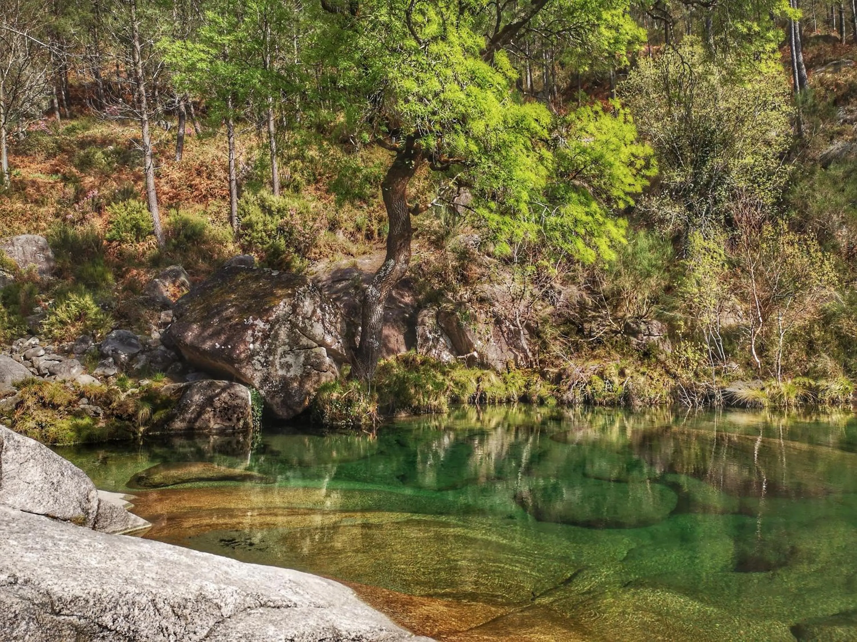 Natural landscape in Retiro do Gerês