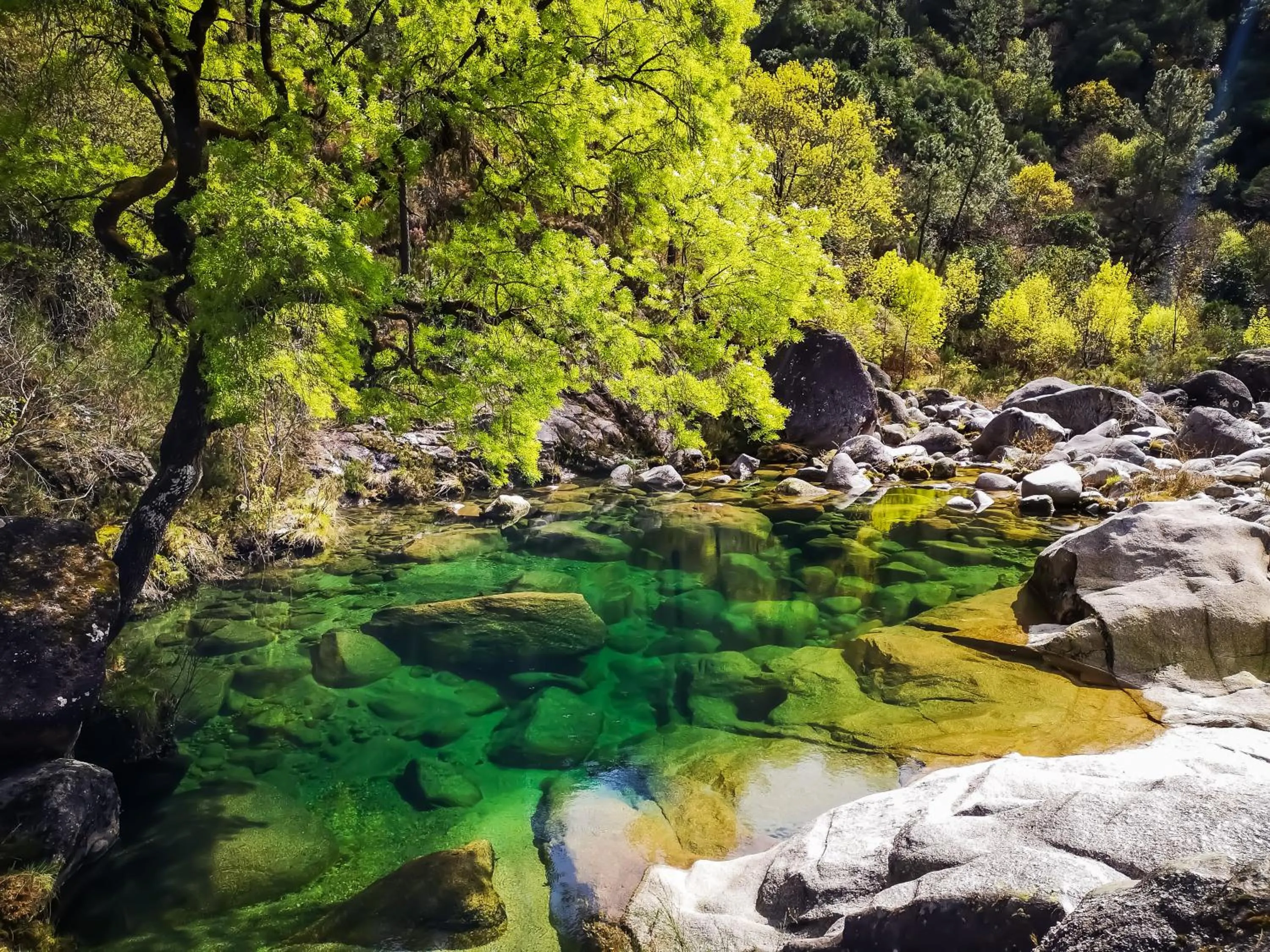 Natural landscape in Retiro do Gerês