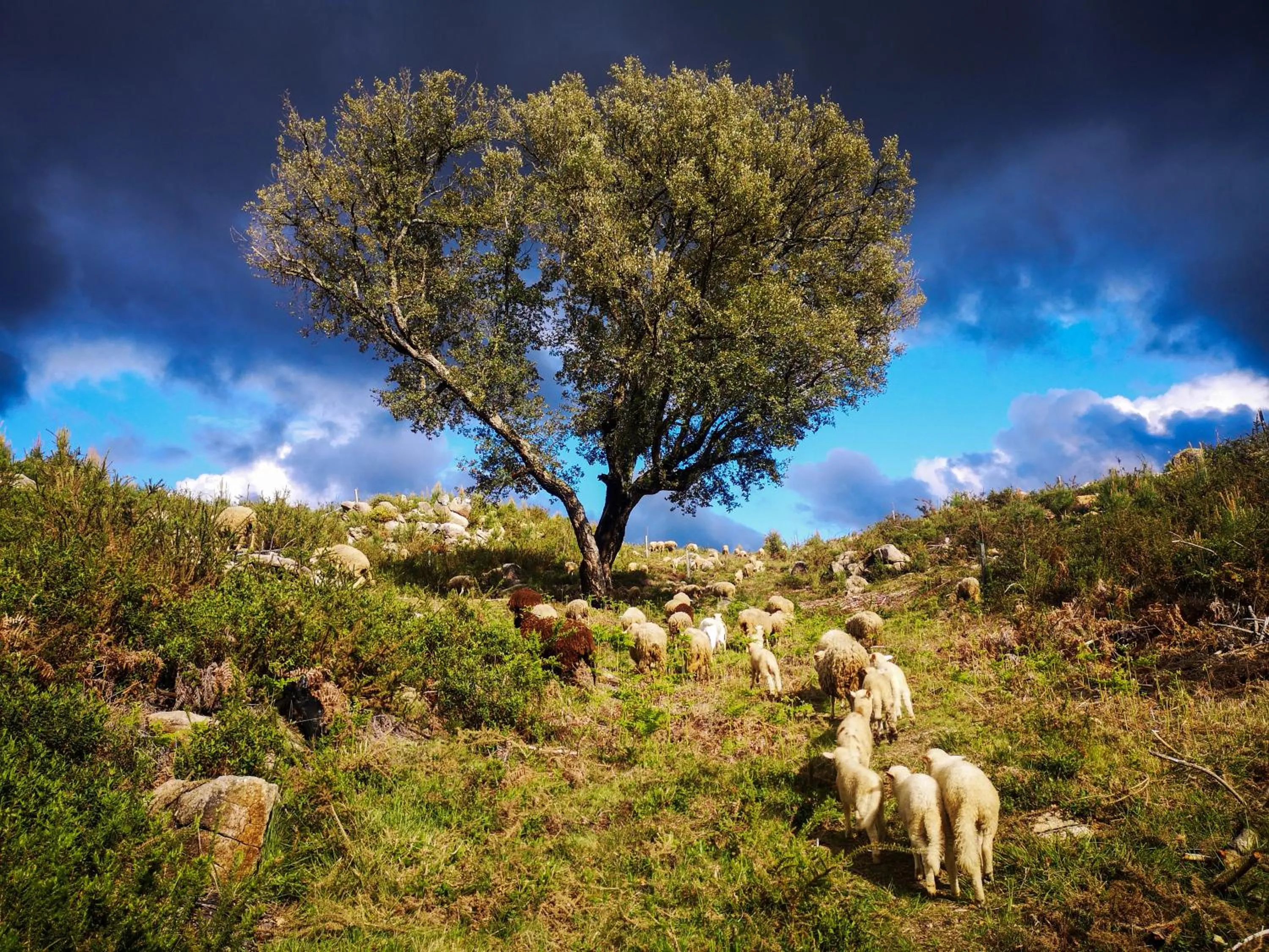 Natural landscape in Retiro do Gerês