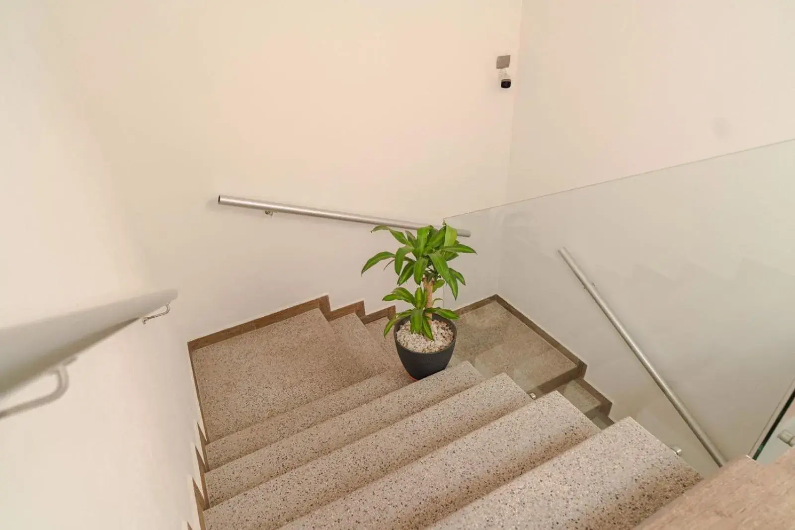 Property building in Real Naviero Hotel Ejecutivo Property building in Real Naviero Hotel Ejecutivo