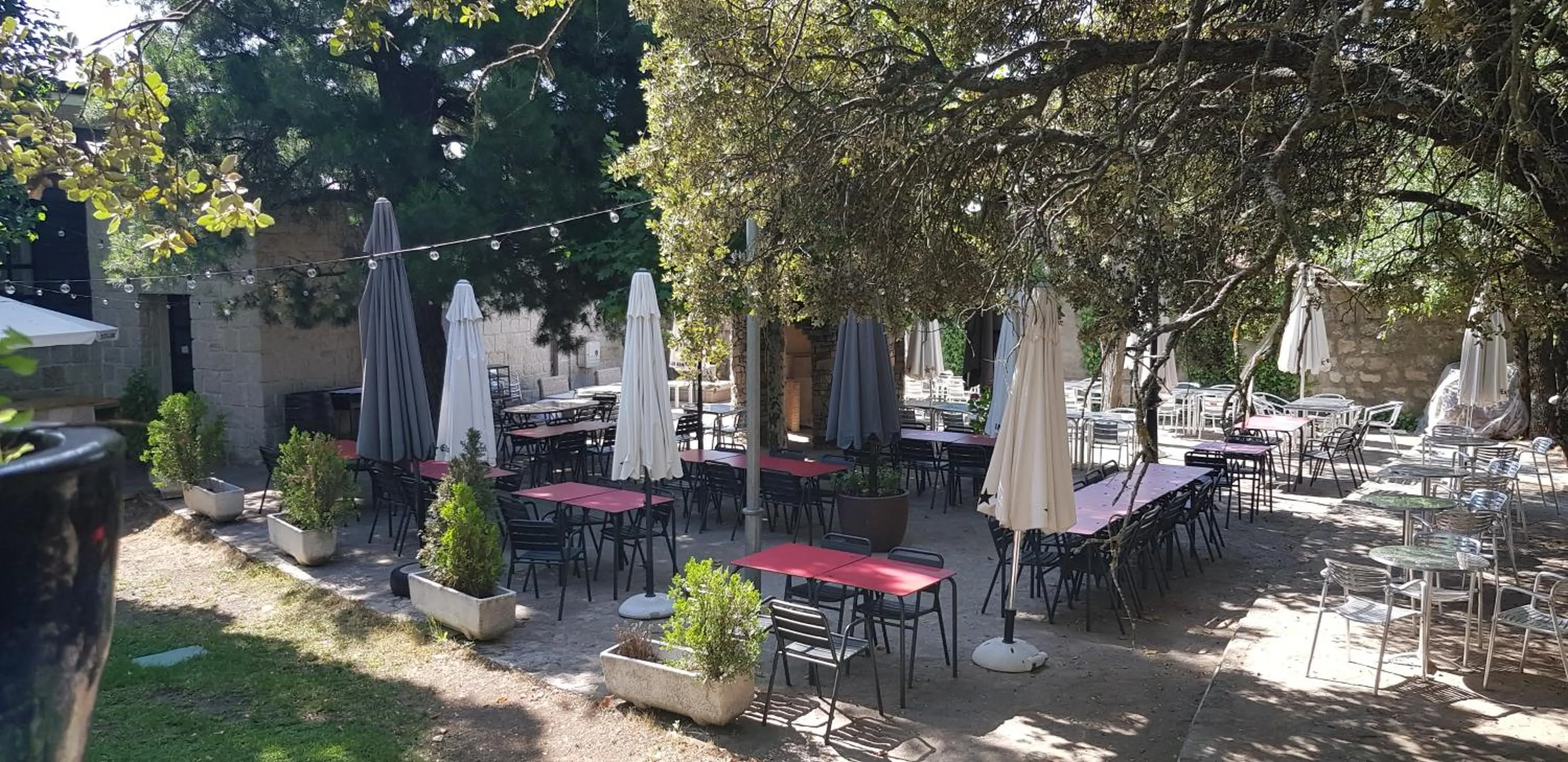 Restaurant/places to eat in Hotel Sara De Ur