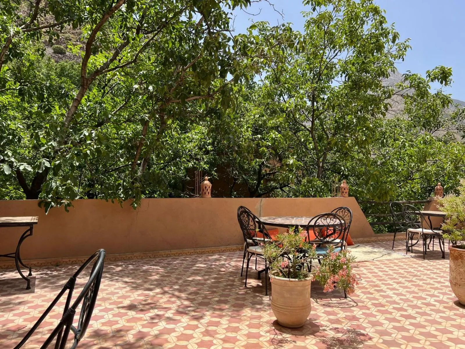 Riad Atlas Garden