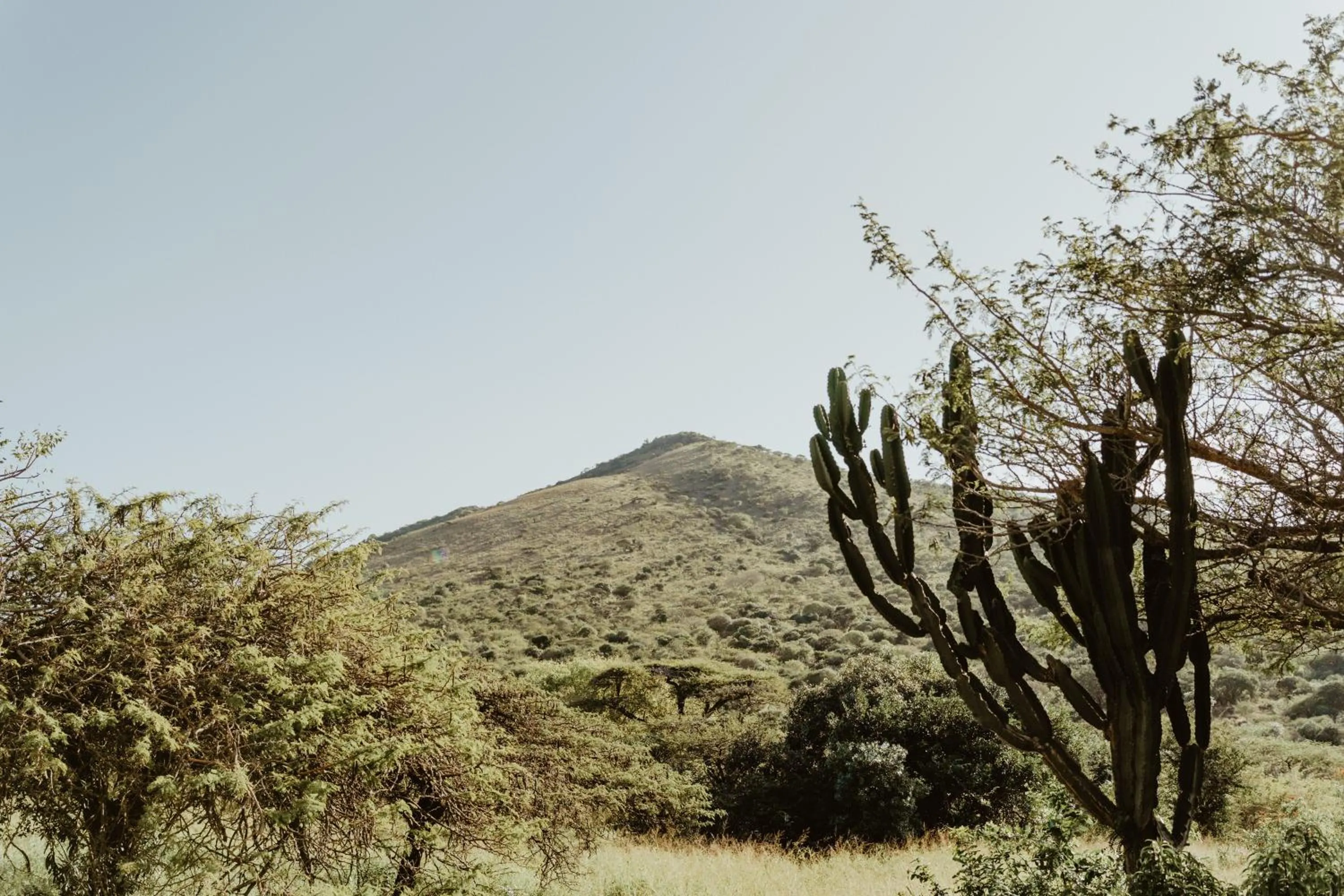 Duiker Game Lodge