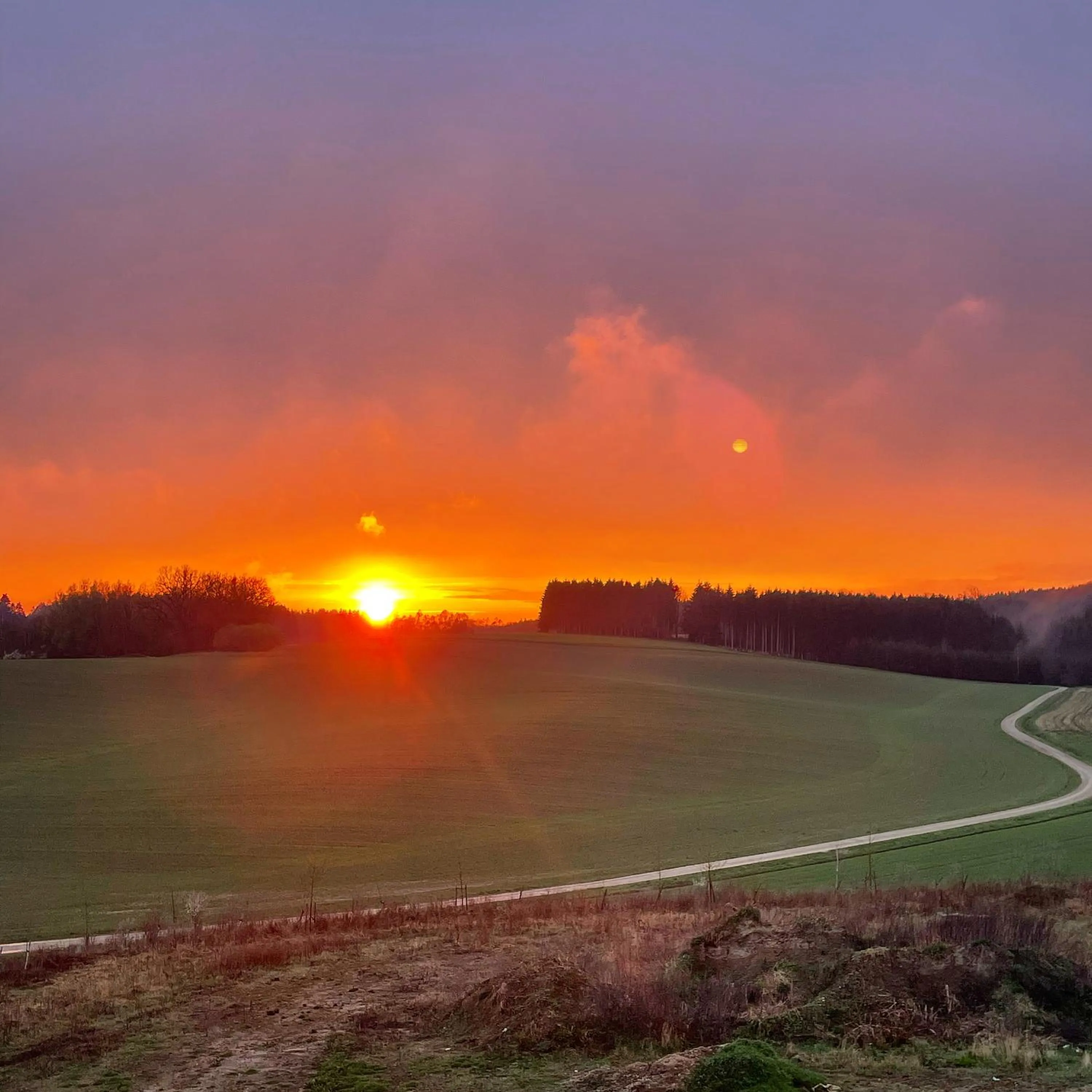 View (from property/room) in Hotel Poellners 20 min von München Hbf