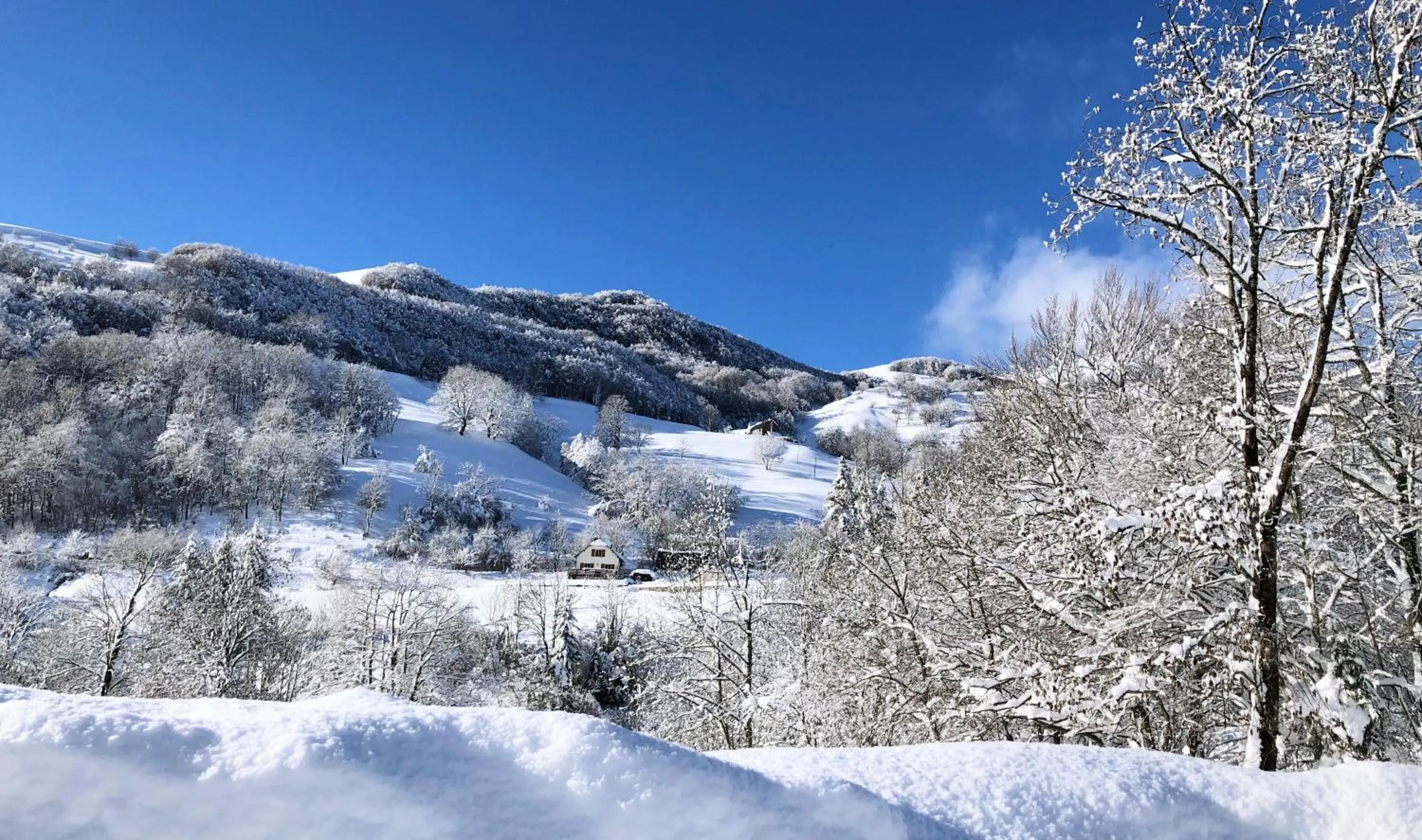 Natural landscape in L'Escoundillou