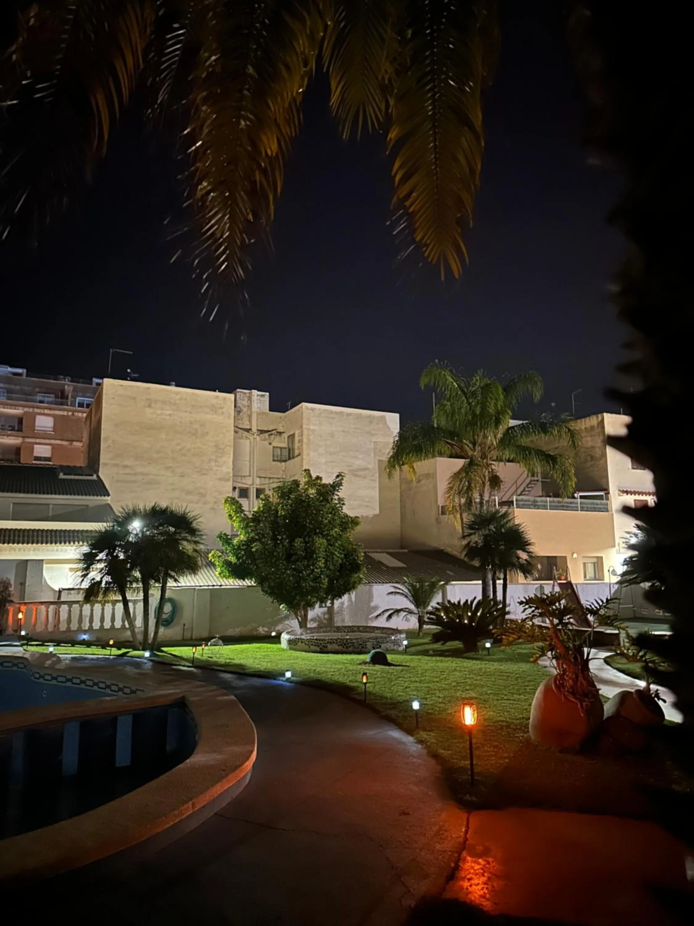 Garden view in HOTEL MIRAMAR