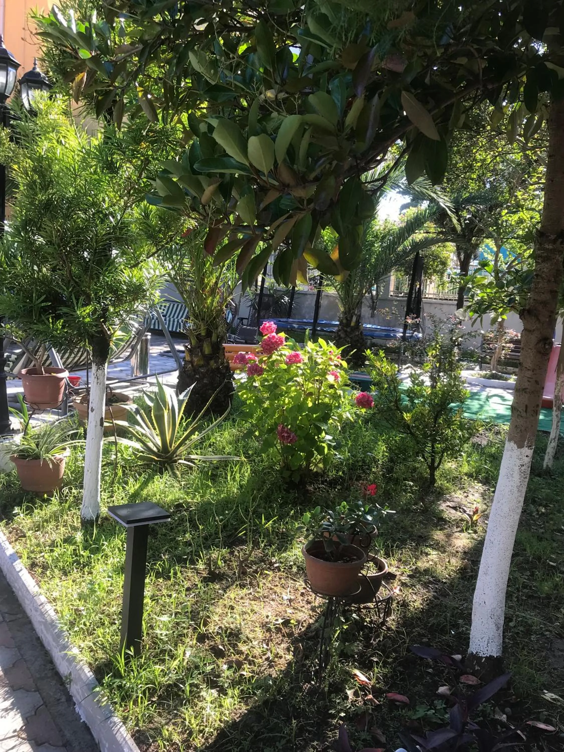 Hotel Exotica