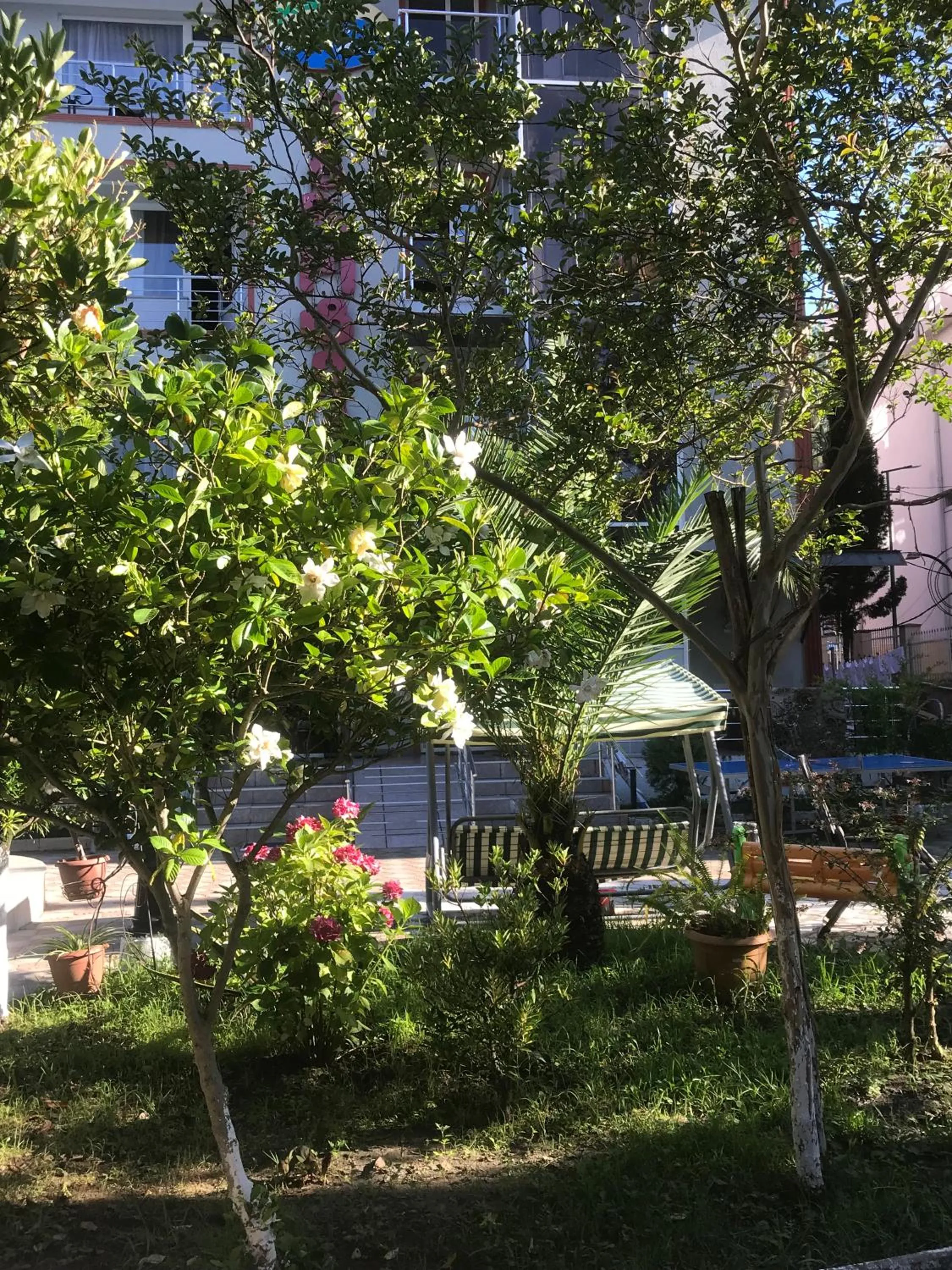 Hotel Exotica